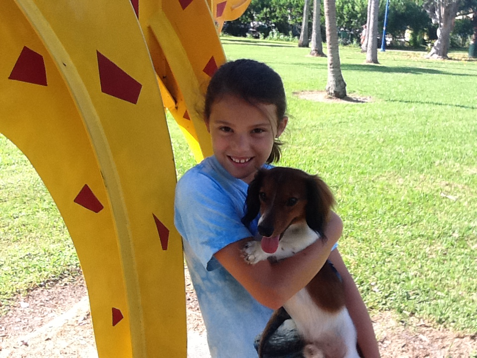 The day Dexter and Shelby met, 2011