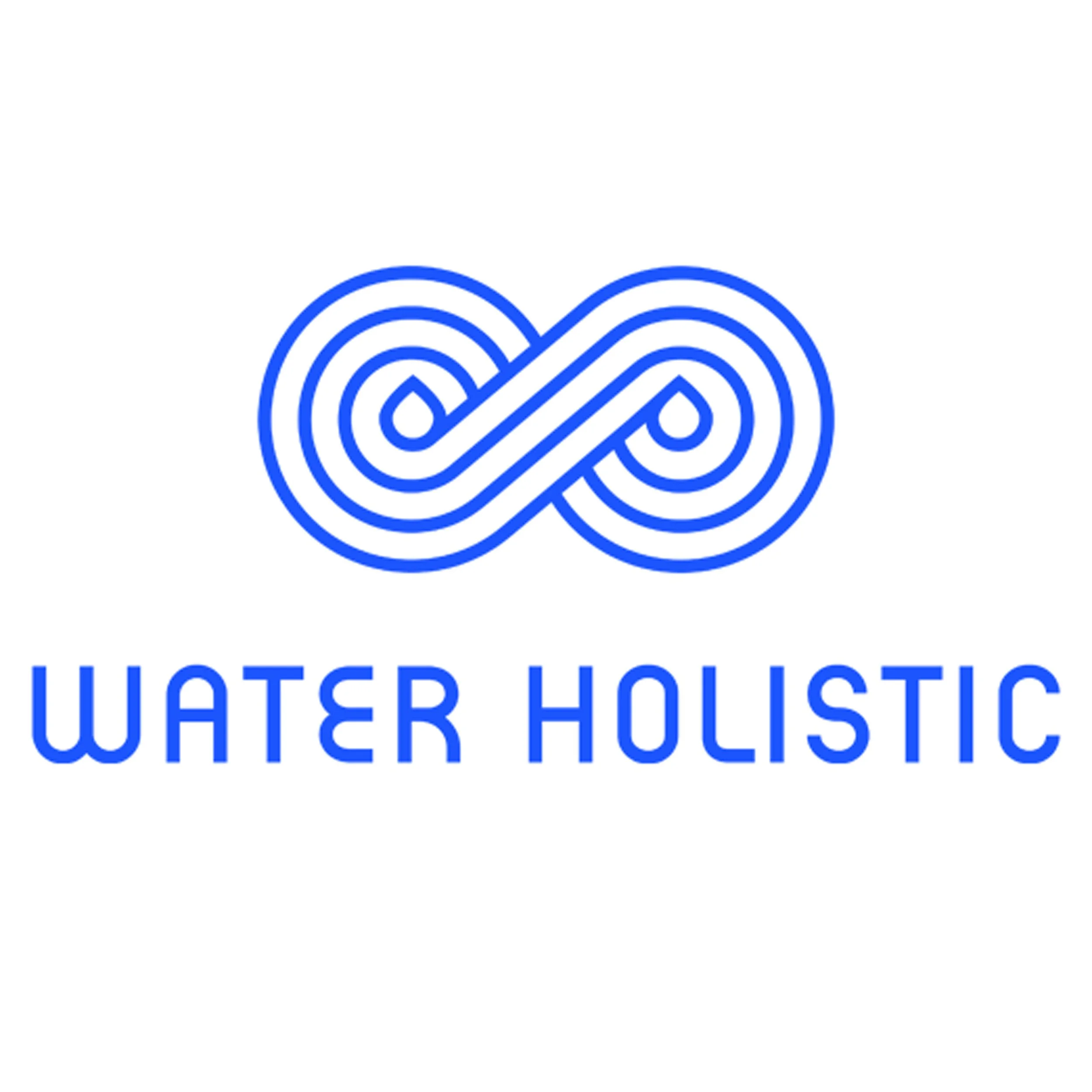 The new water paradigm and water holistic studies