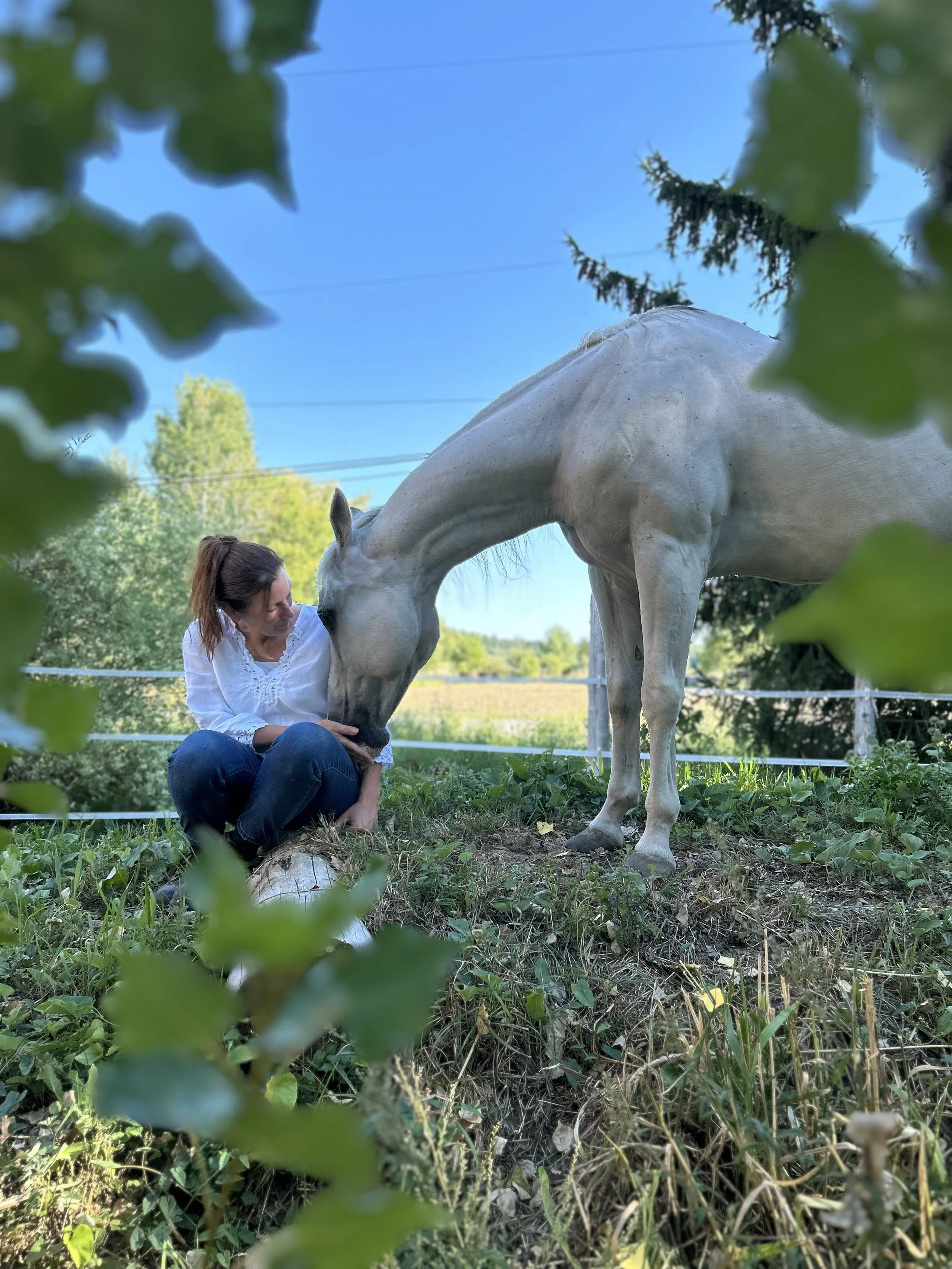 Une femme en chemise blanche et jean assise sur la terre, caressant un cheval blanc dans un pré ensoleillé avec des arbres en arrière-plan.