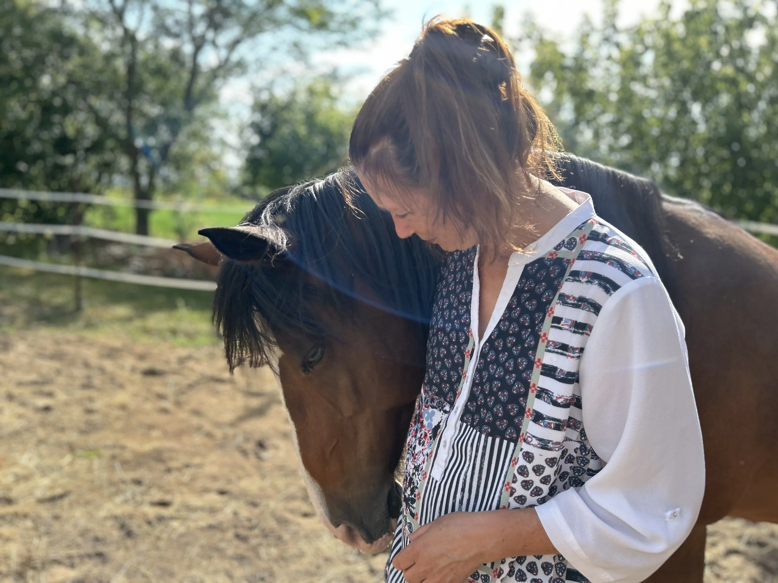 Une femme embrasse tendrement un cheval dans un terrain en plein air avec des arbres en arrière-plan.