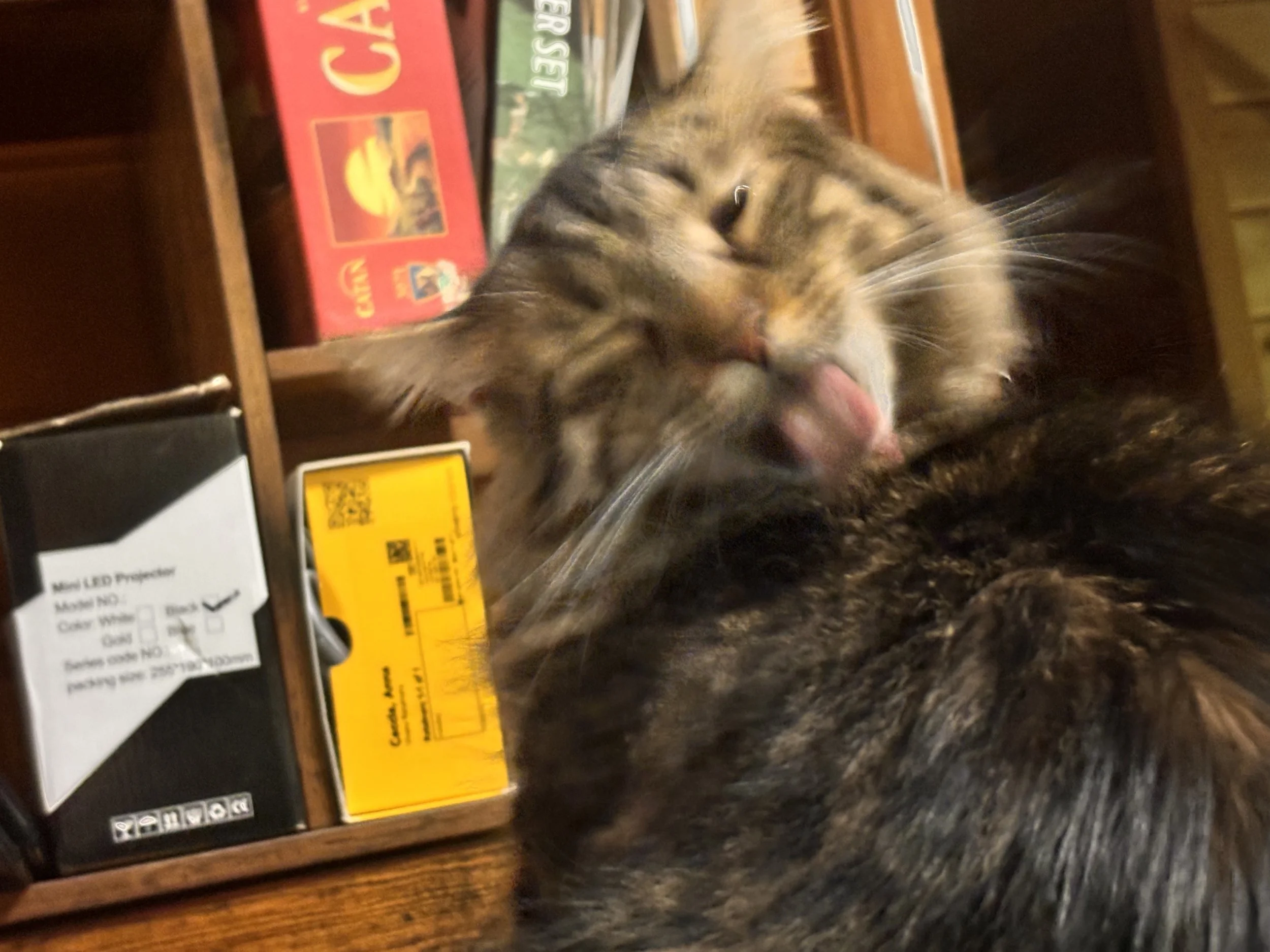 A close-up of a tabby cat grooming itself, with a bookshelf and various boxed items in the background.