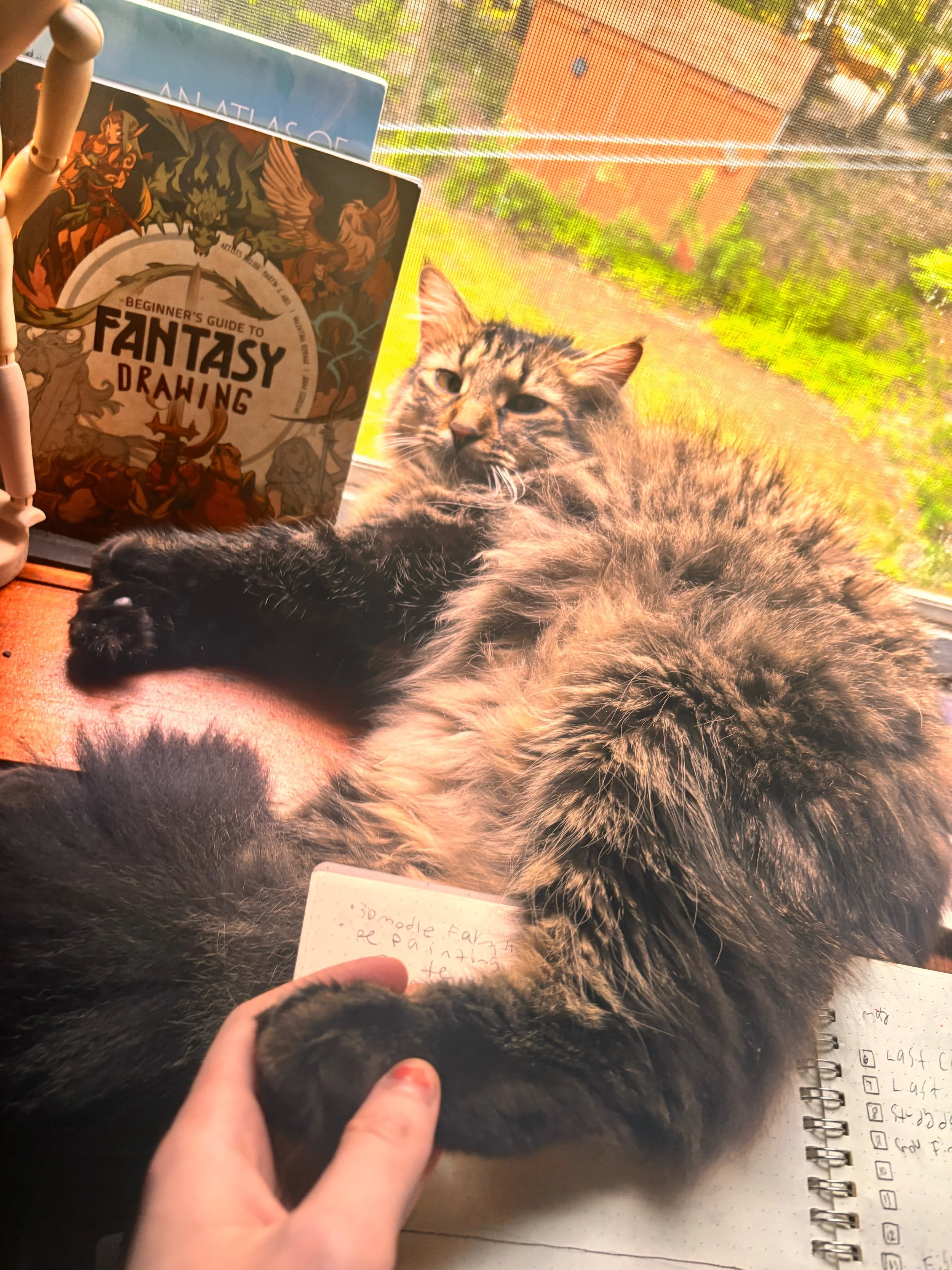 A tabby cat lying on a wooden surface next to a book titled 'Beginner's Guide to Fantasy Drawing' and a notebook with handwritten notes. The background shows a window with sunny outdoor scenery.