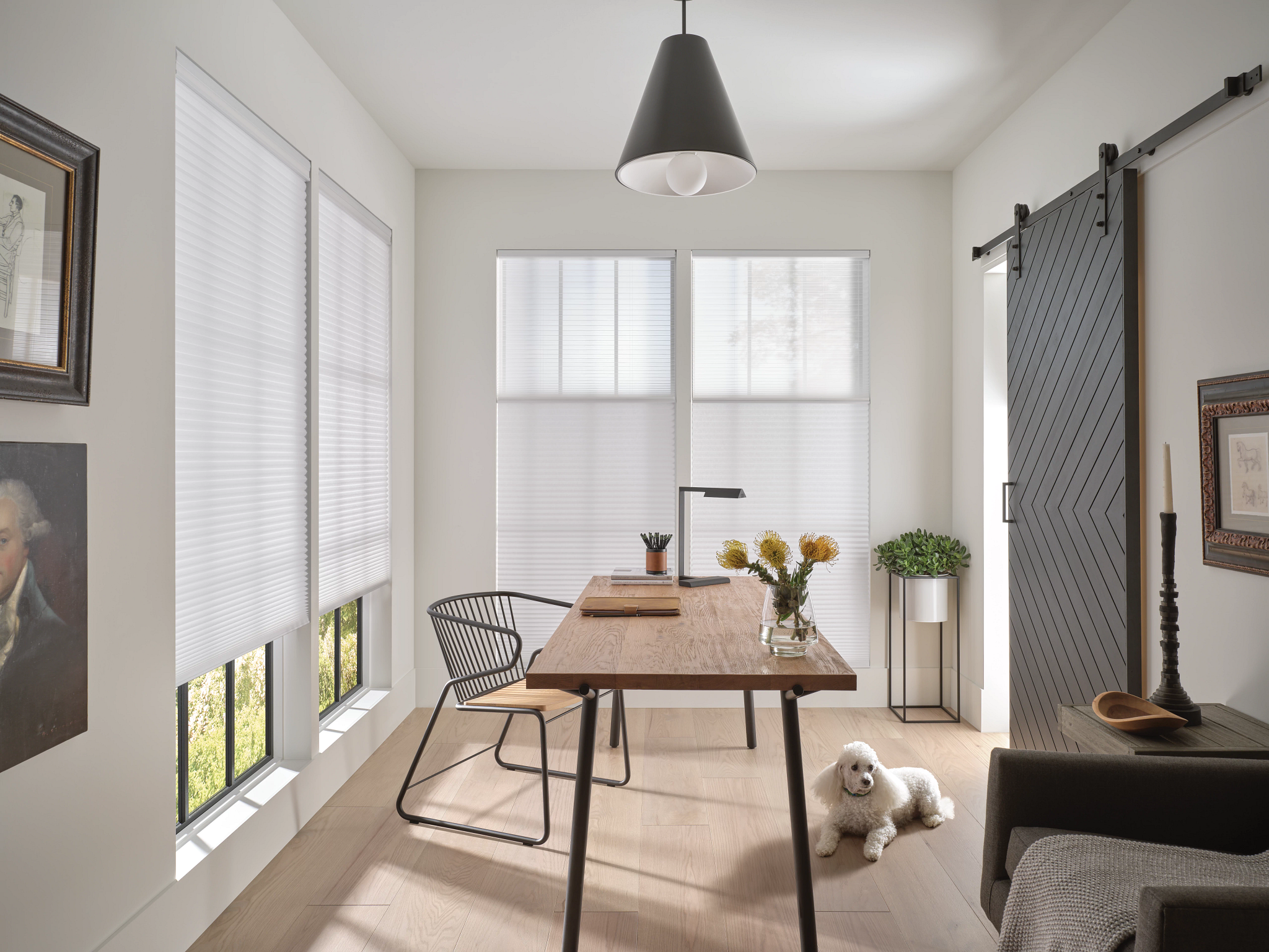 ¾'' Light Filtering Duette® Architella Honeycomb Shade With Duolite®