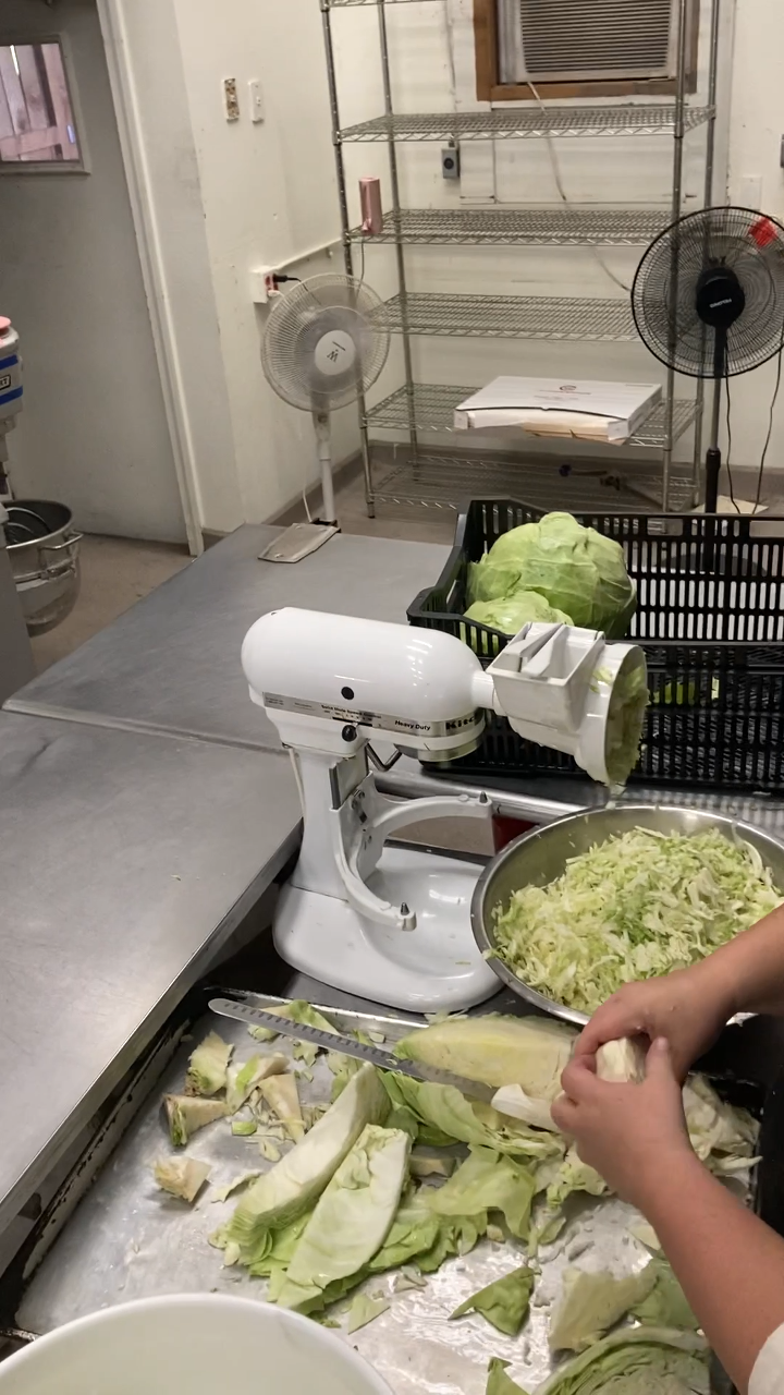 Picture of Cabbage being shredded into sauerkraut