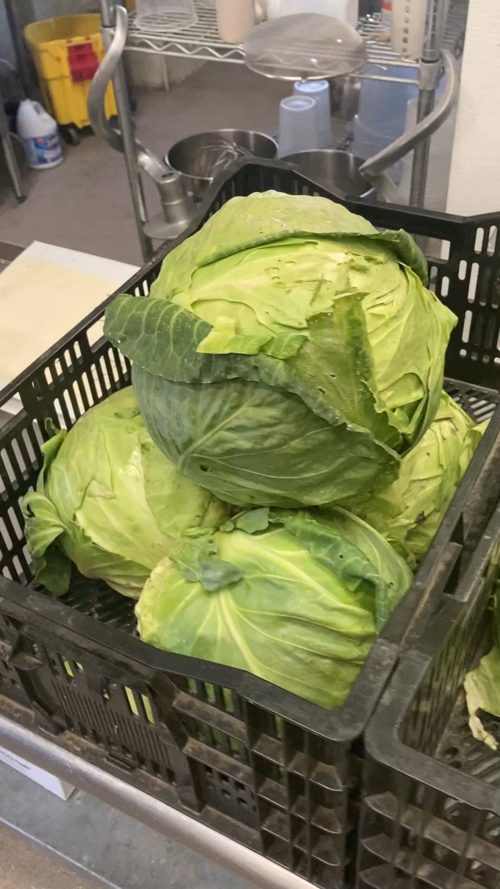 Sauerkraut - 24 oz - Well Rooted Produce