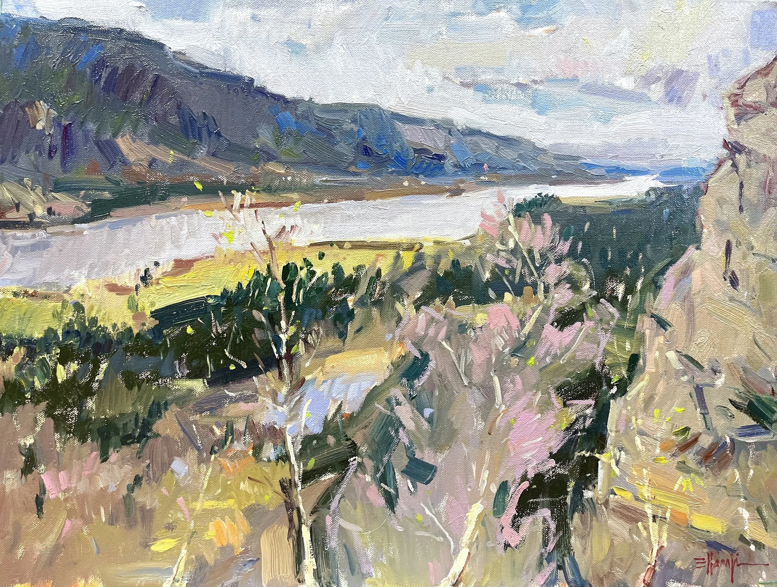 Springtime in the Gorge
oil
18x24
Available