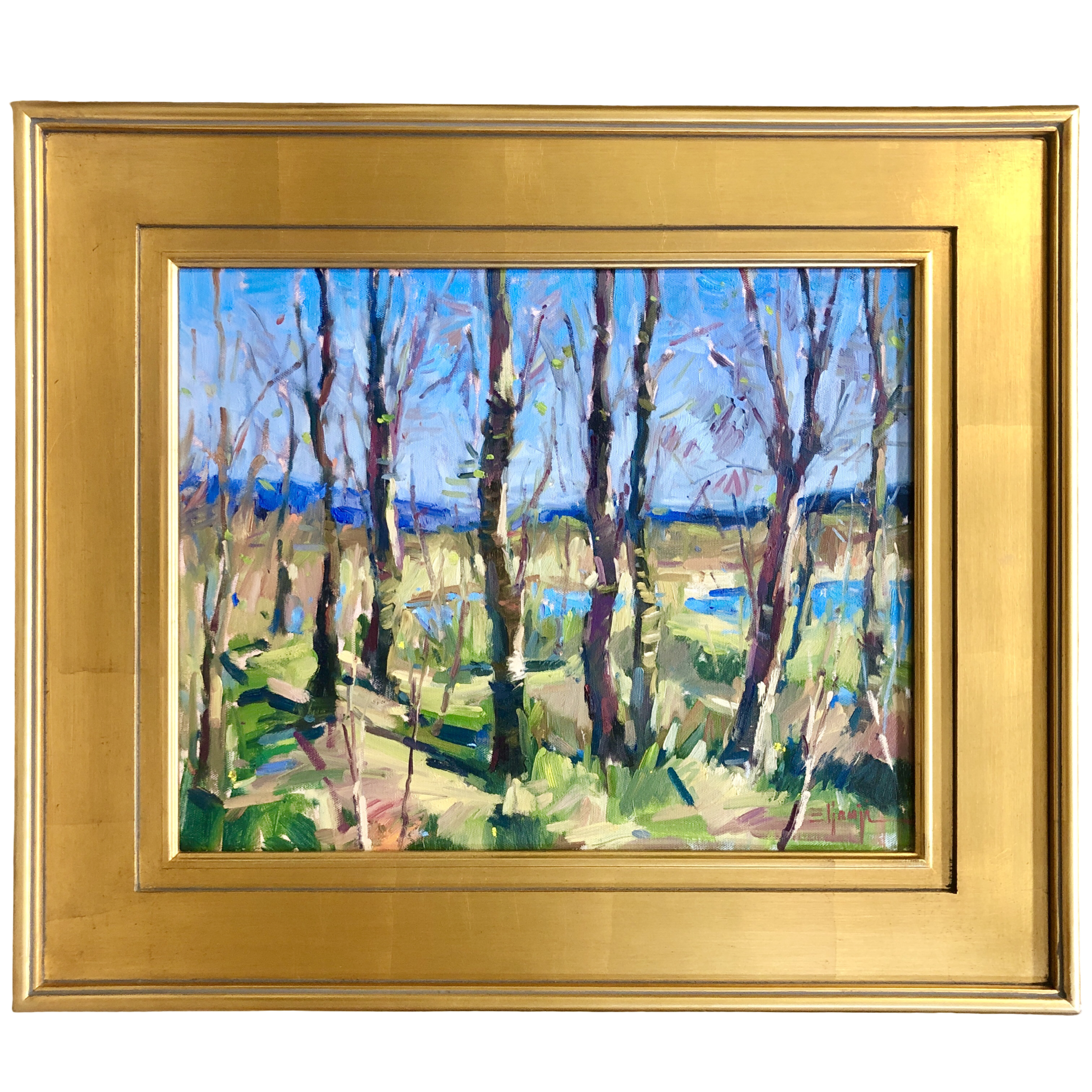 Early Spring at the Refuge