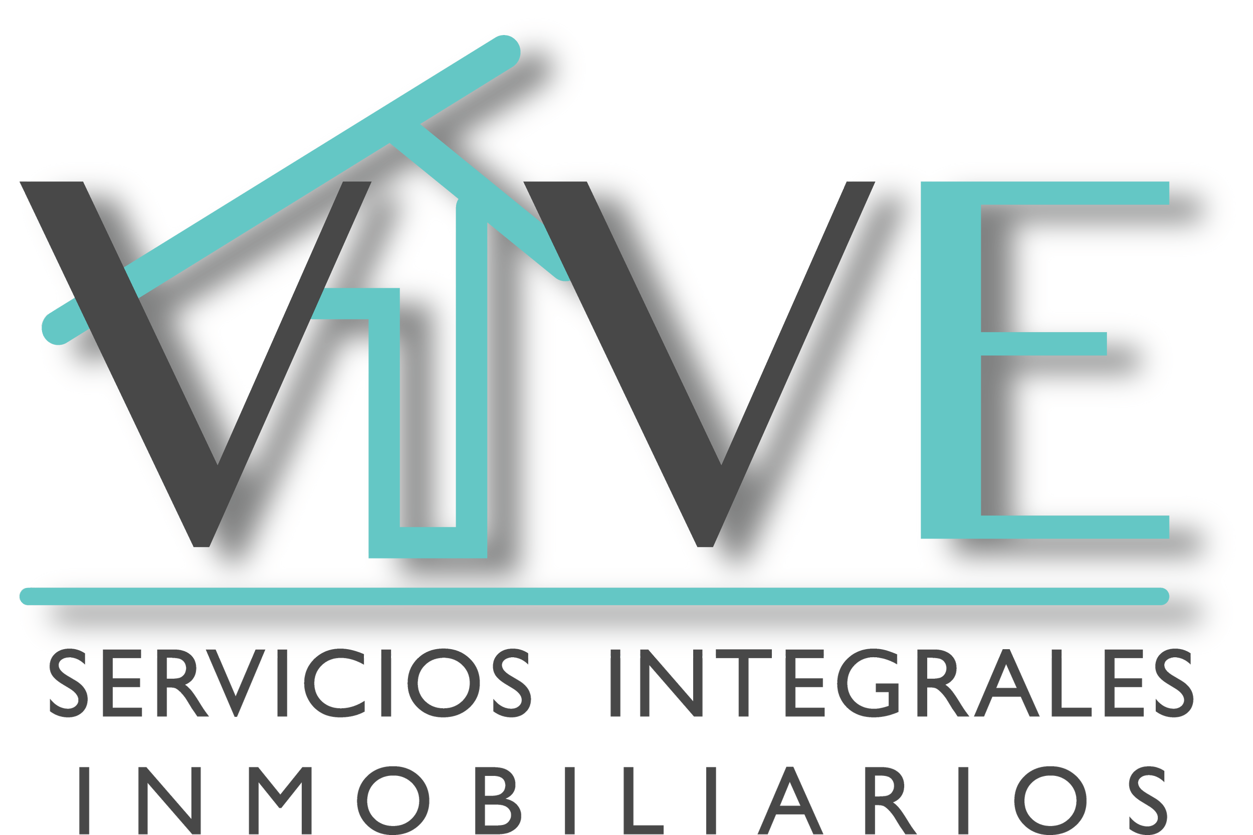 VIVE logo png.png