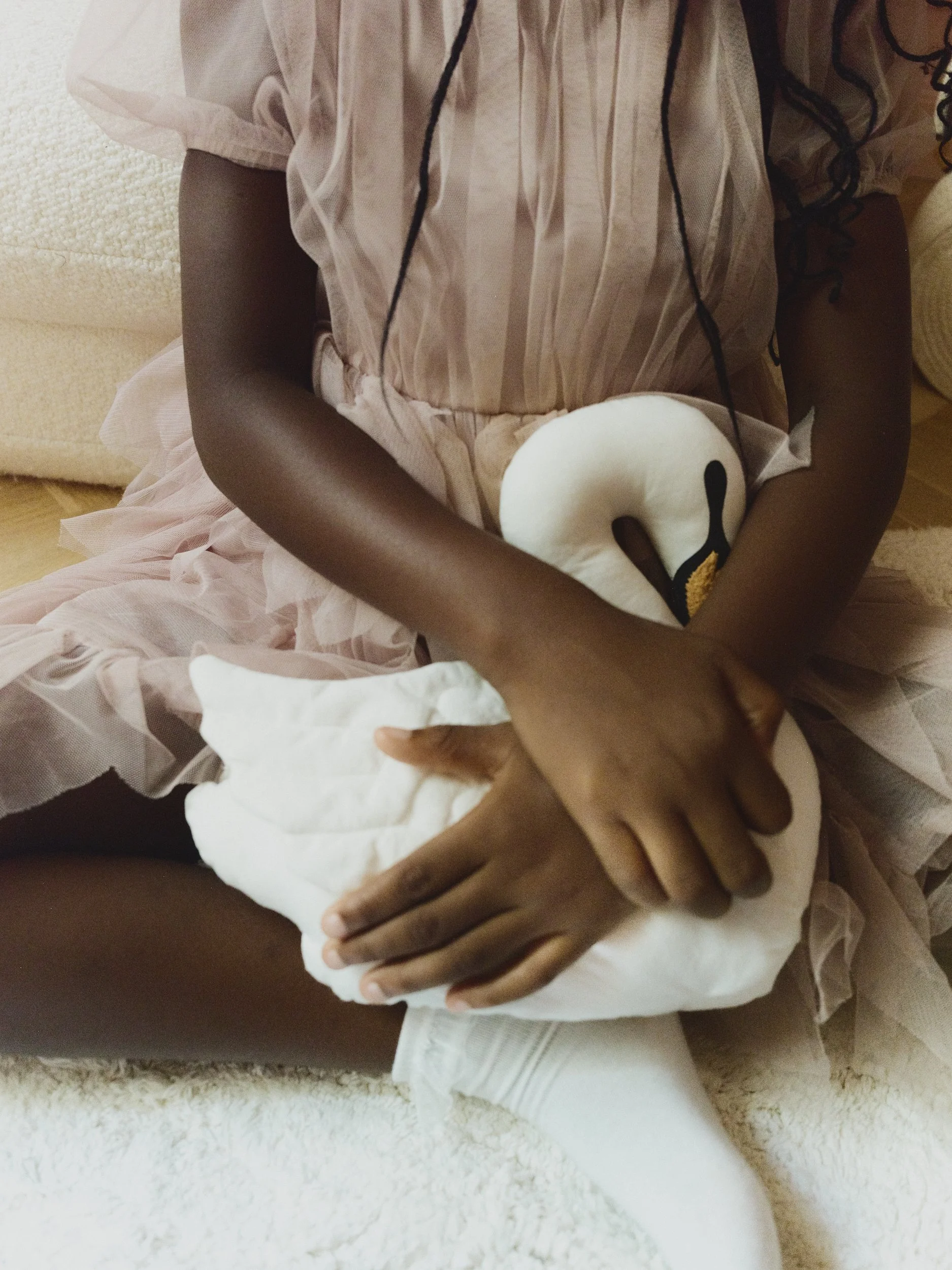 A Soft Take on Swan Lake 