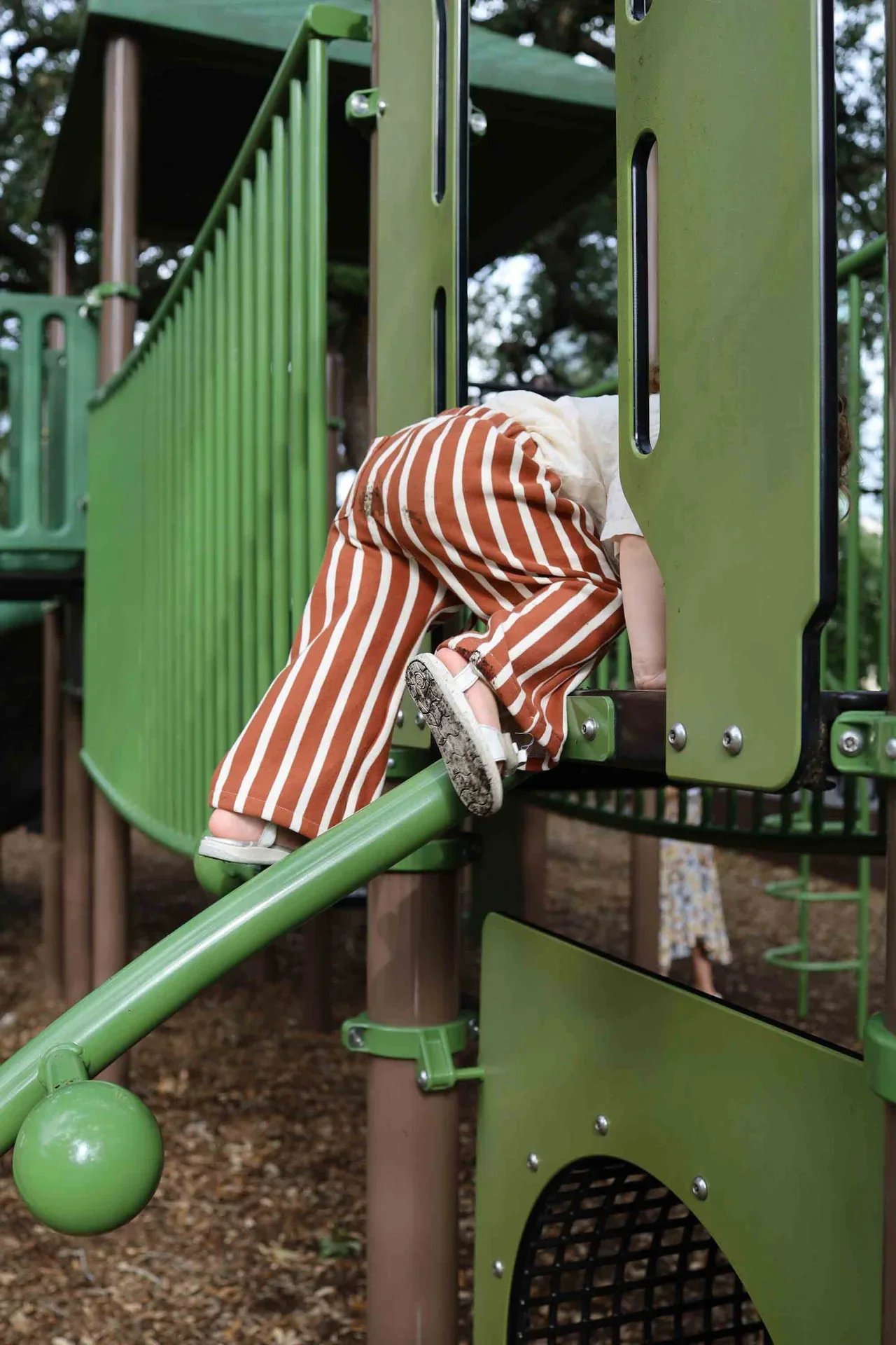 IMG_9255.WEBP