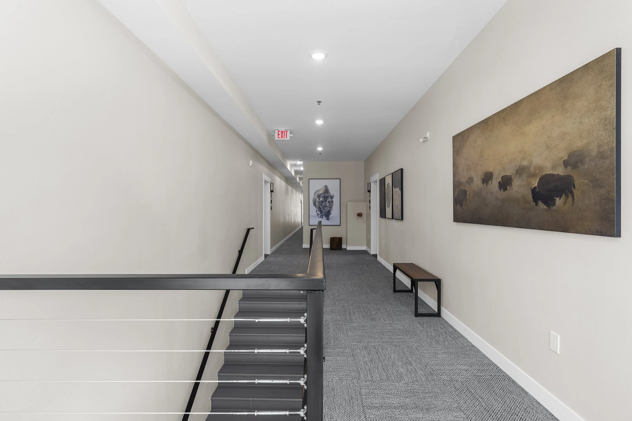 Empty hallway with artwork of animals on the walls, benches, and an exit sign.