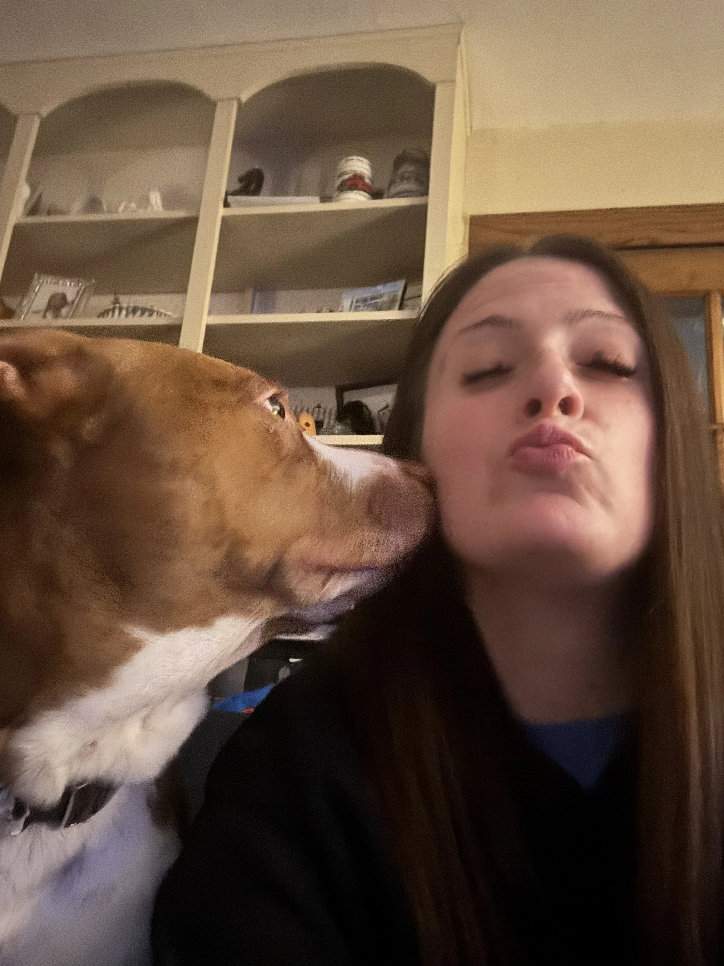 Love for his pet sitter!!