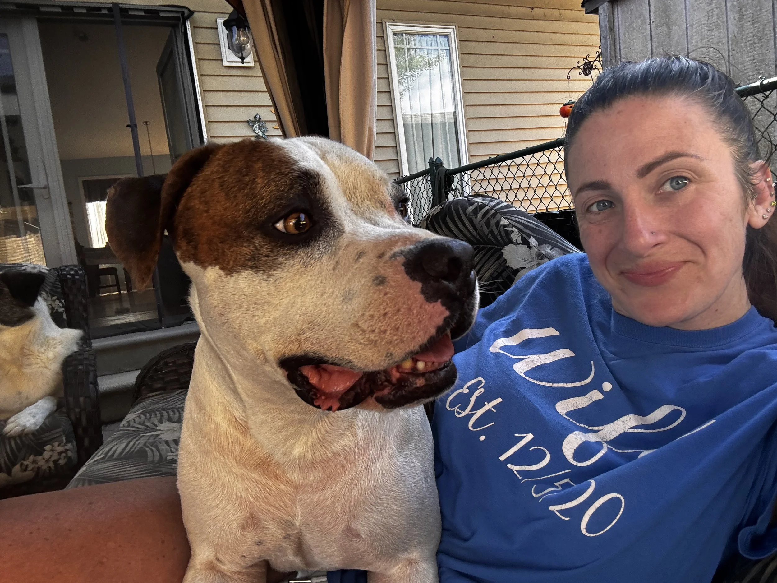 Pitbull relaxing on the couch with it's friendly pet sitter. 
