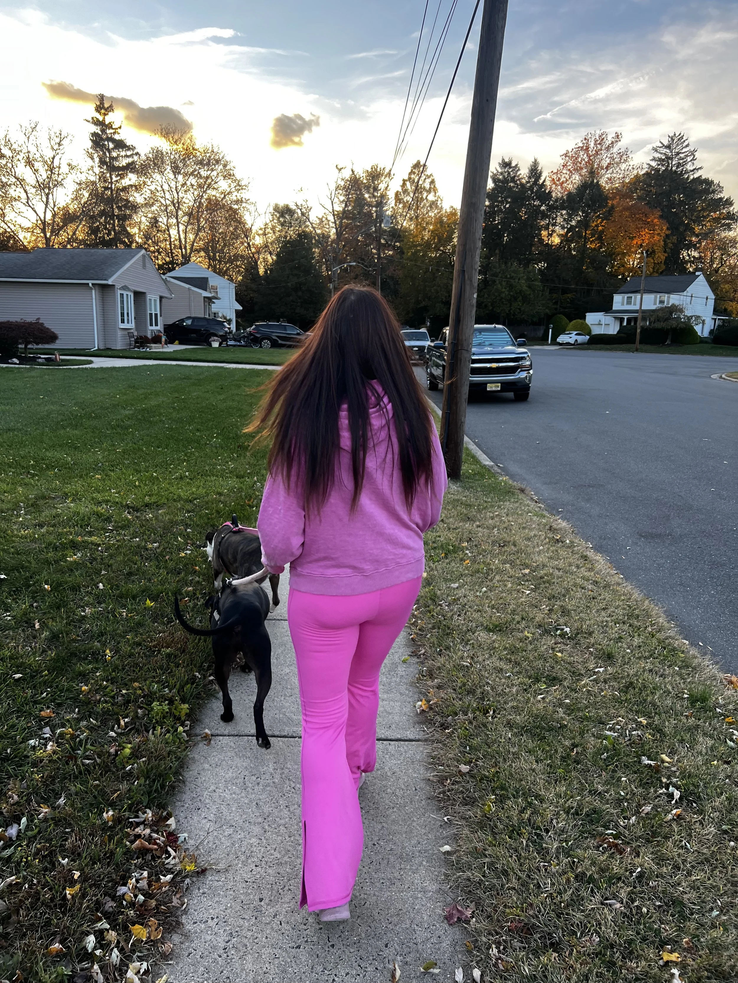 2 pitbulls going for a walk on an autumn night getting some exercise.