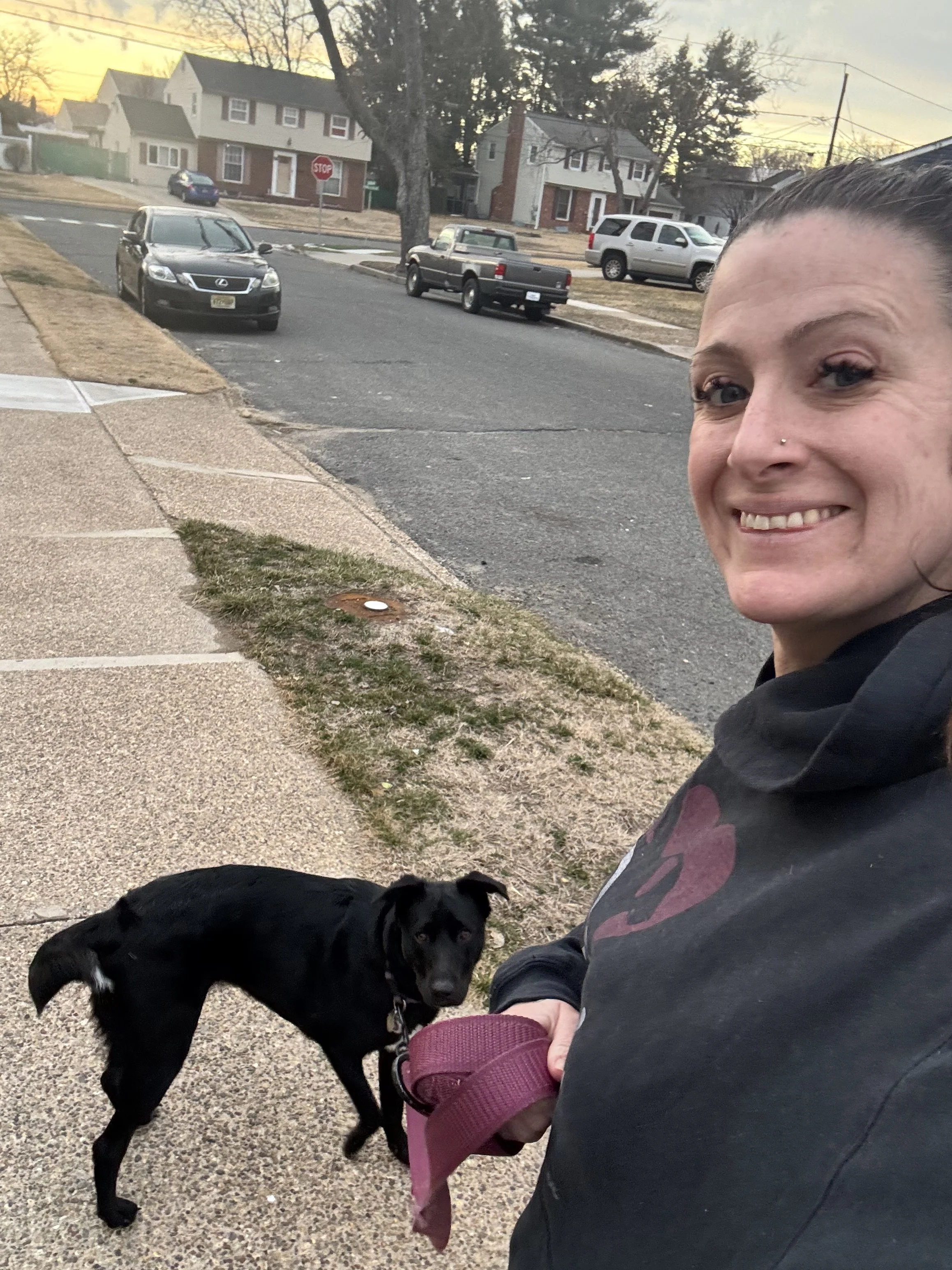Nothing I'd rather be doing than walking dogs. 
