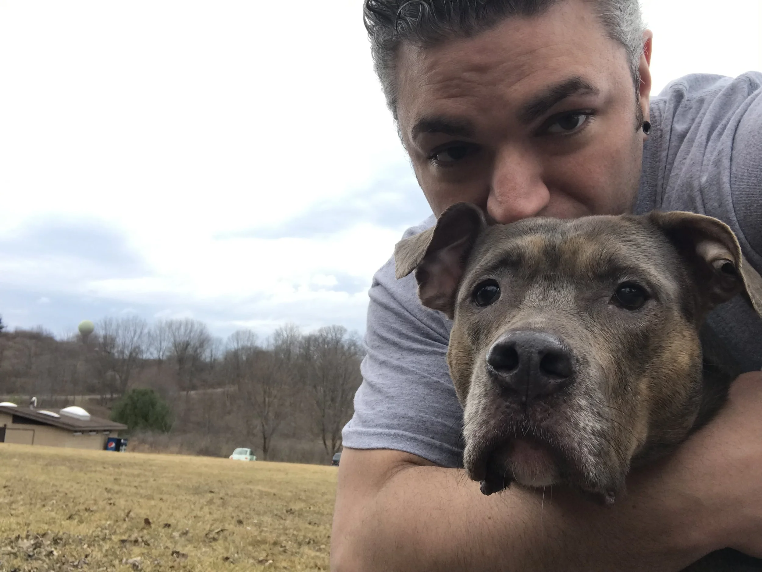 A pit bull cuddling while on a walk and playing with Dani G Pet Care.