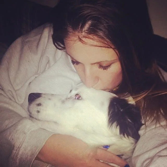 Woman hugging and kissing her dog, a white and black Border Collie, on the face.
