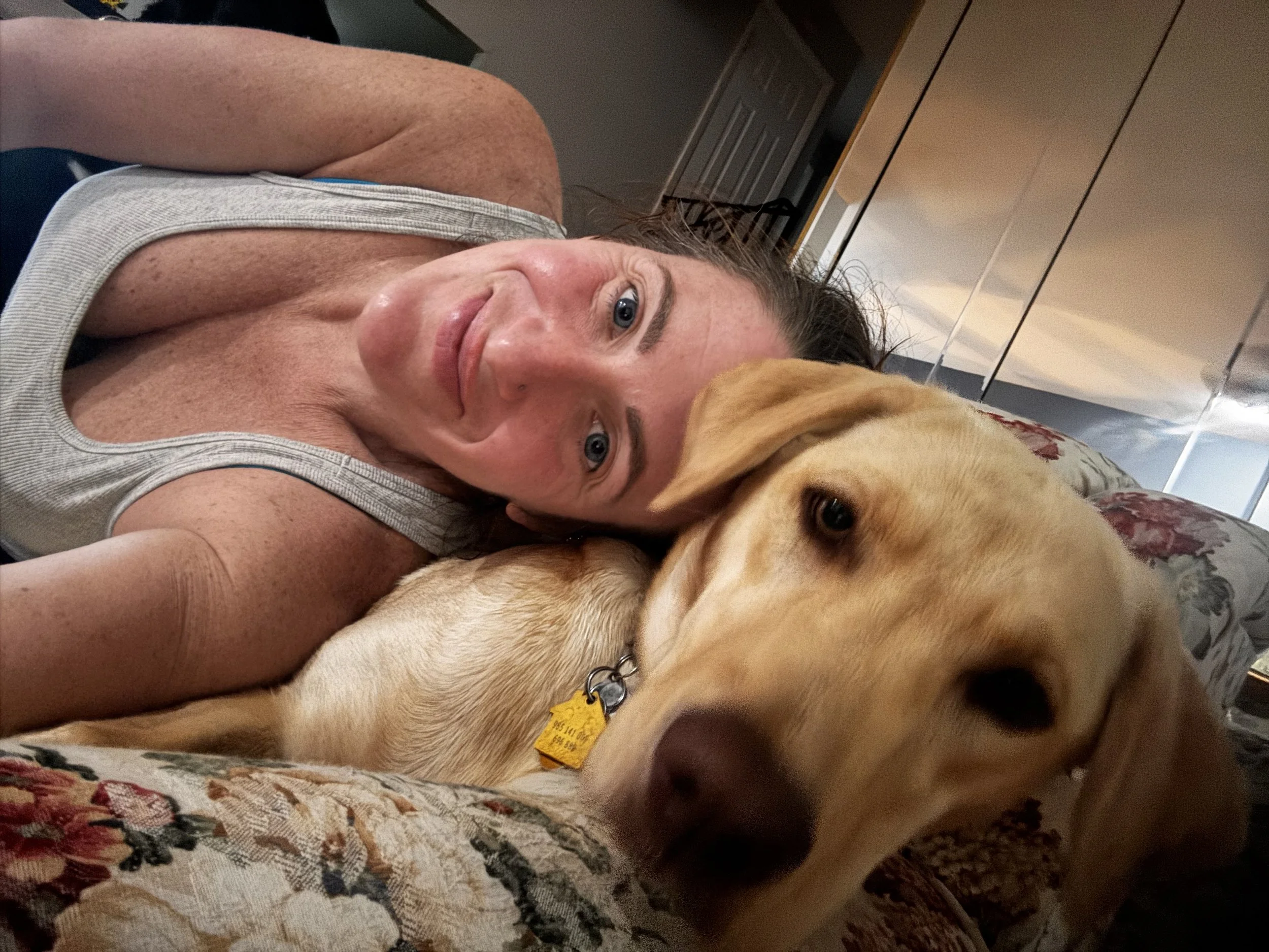 Dani G Pet Care giving affectionate attention to tan labrador during overnight visit. 