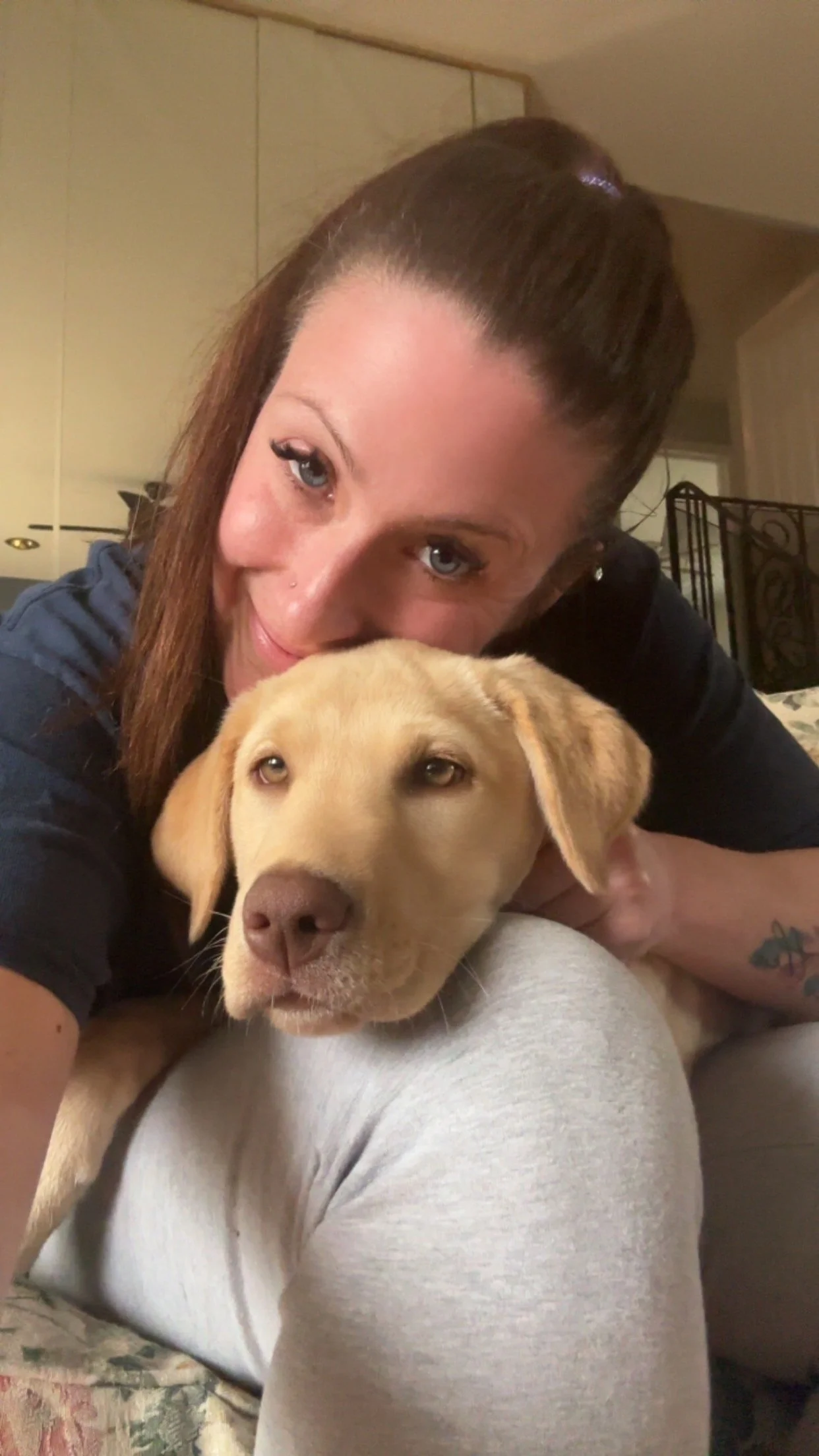 Labrador puppy cuddling affectionately with their dog walker after a long walk. 