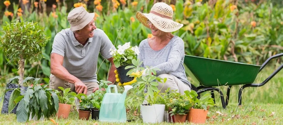 Two people working in garden