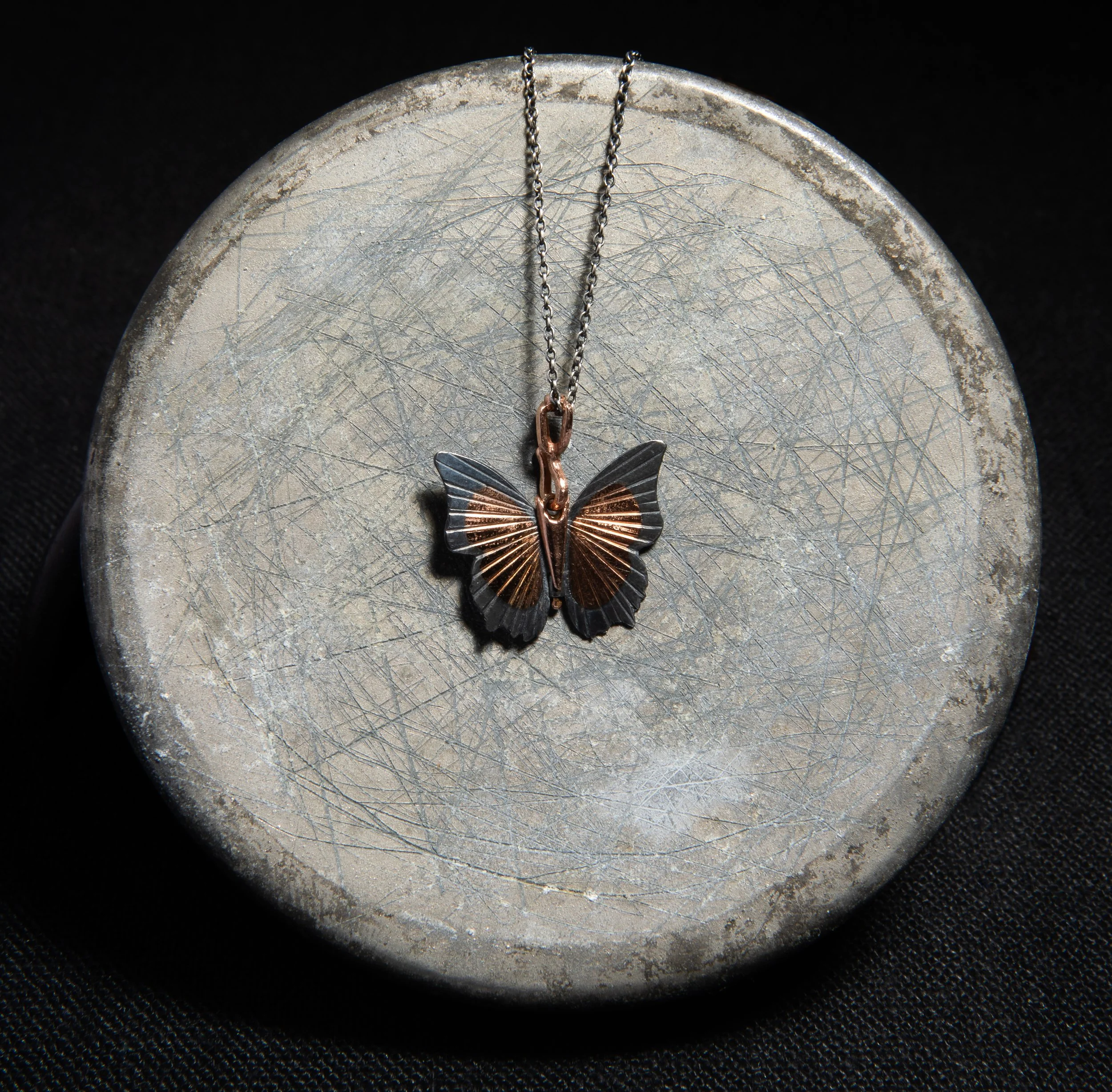 james banks tawny raja.jpg