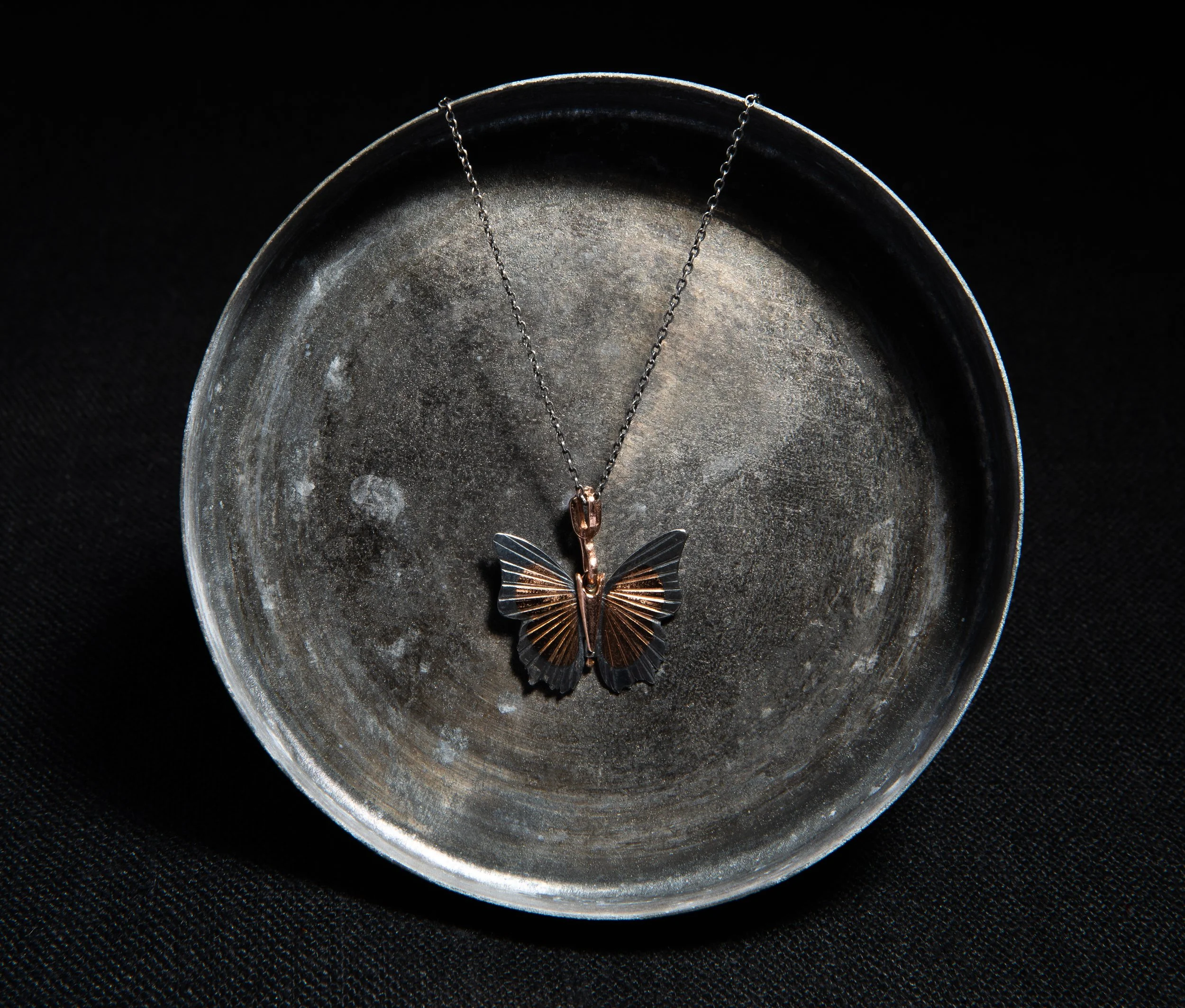 james banks tawny raja-3 .jpg