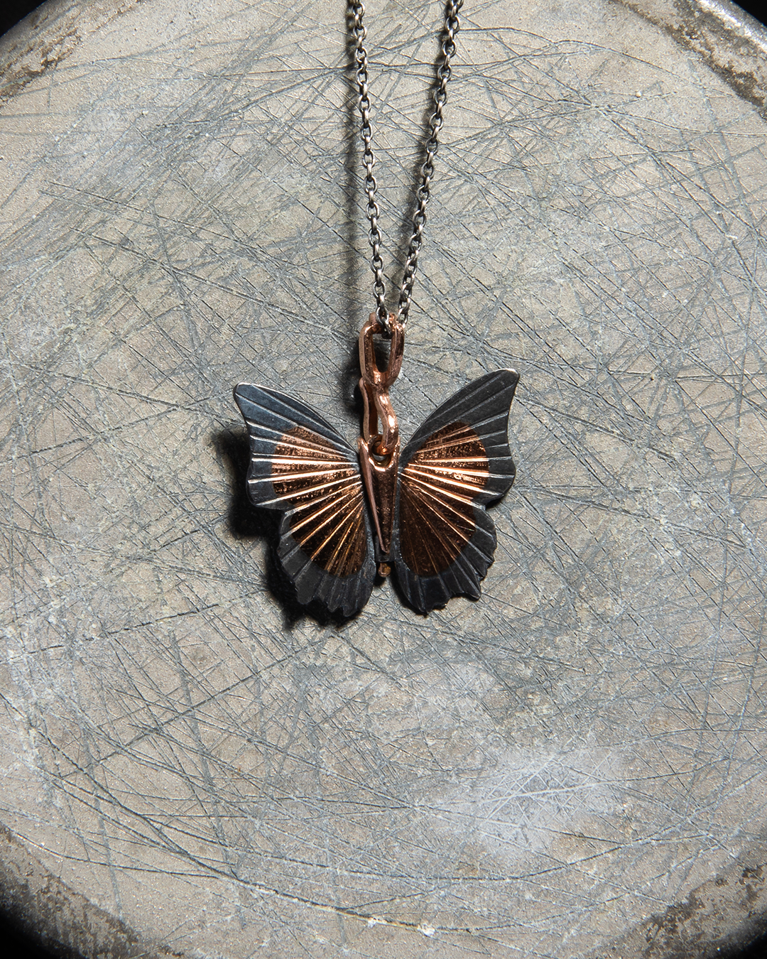 james banks tawny raja.jpeg