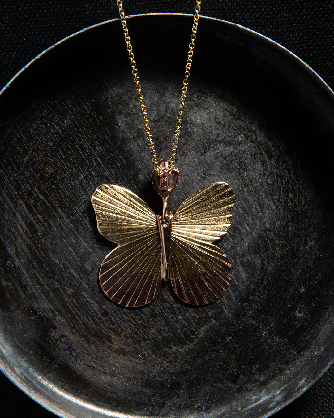 james bankd large asterope.jpeg