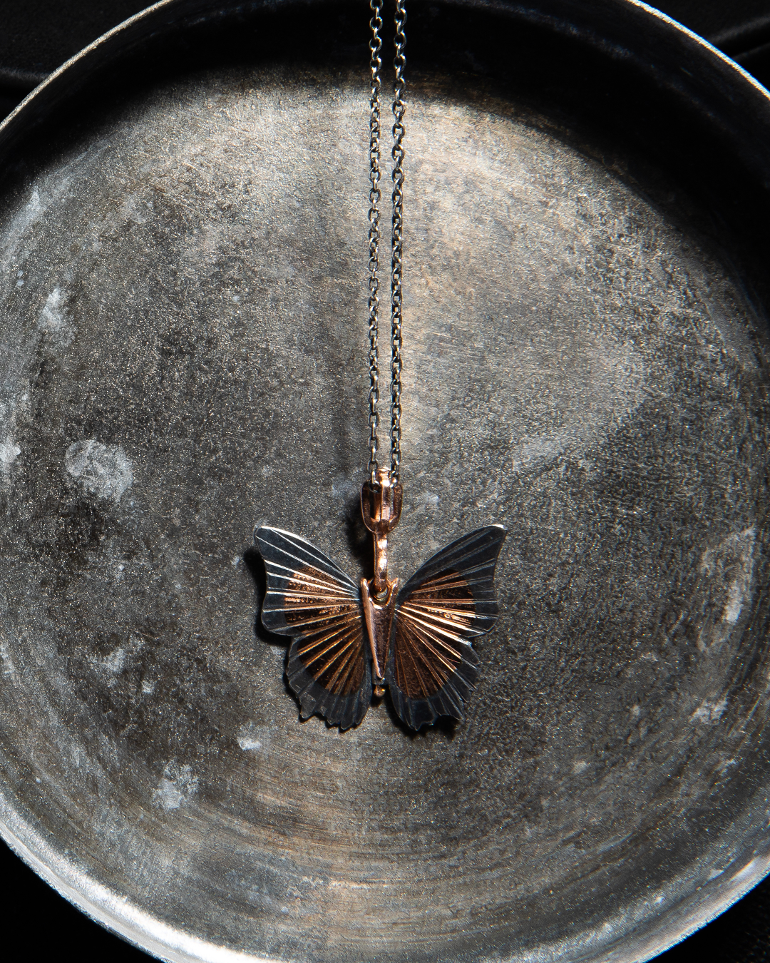 james banks tawny raja-2.jpeg