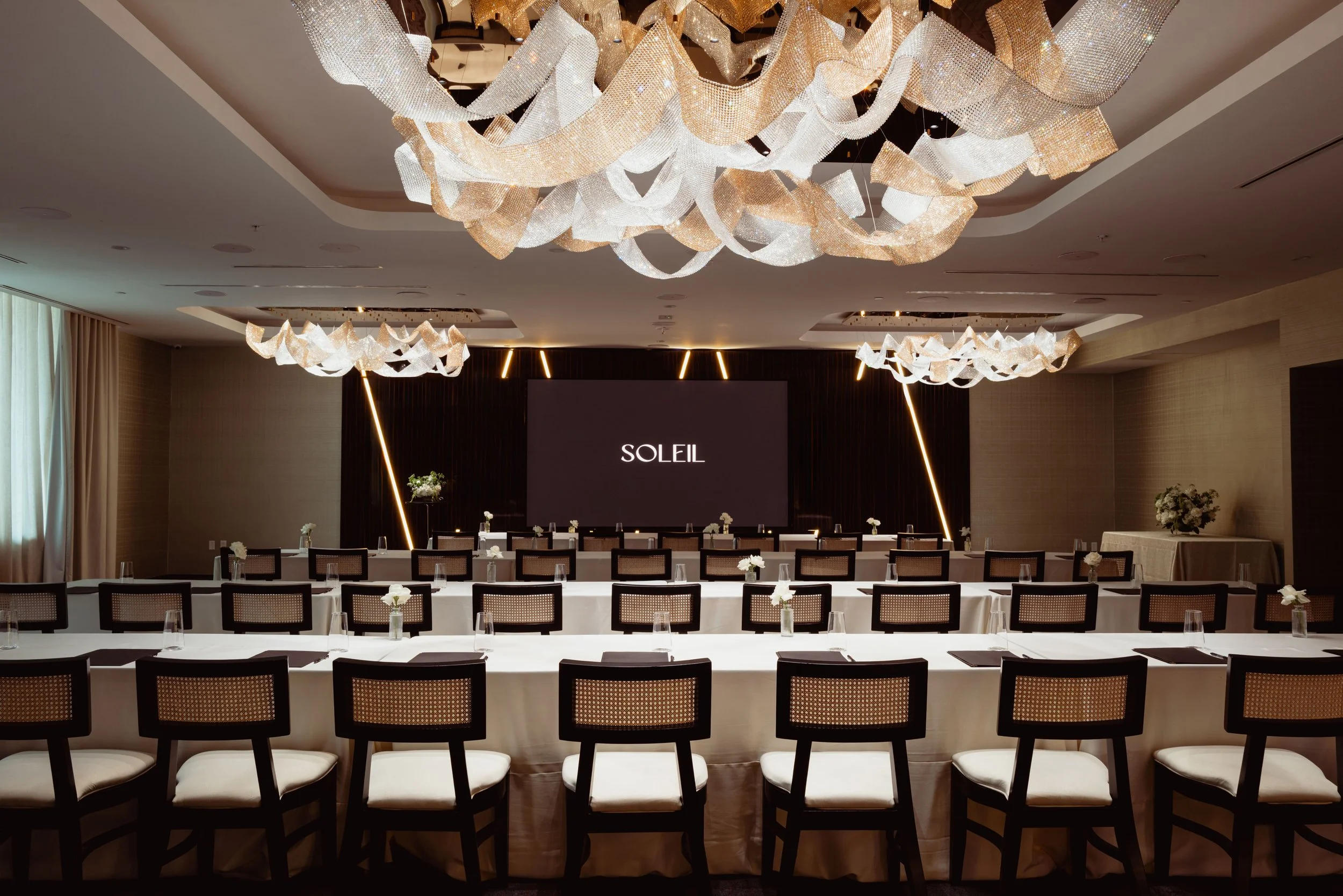 Soleil - conference setup.jpg
