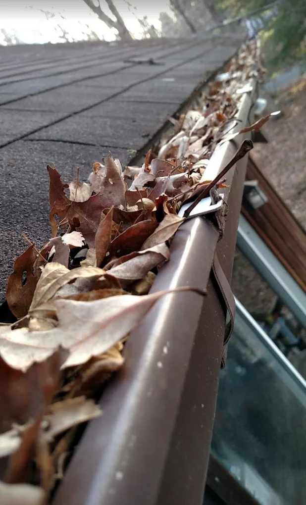 gutter 1.webp