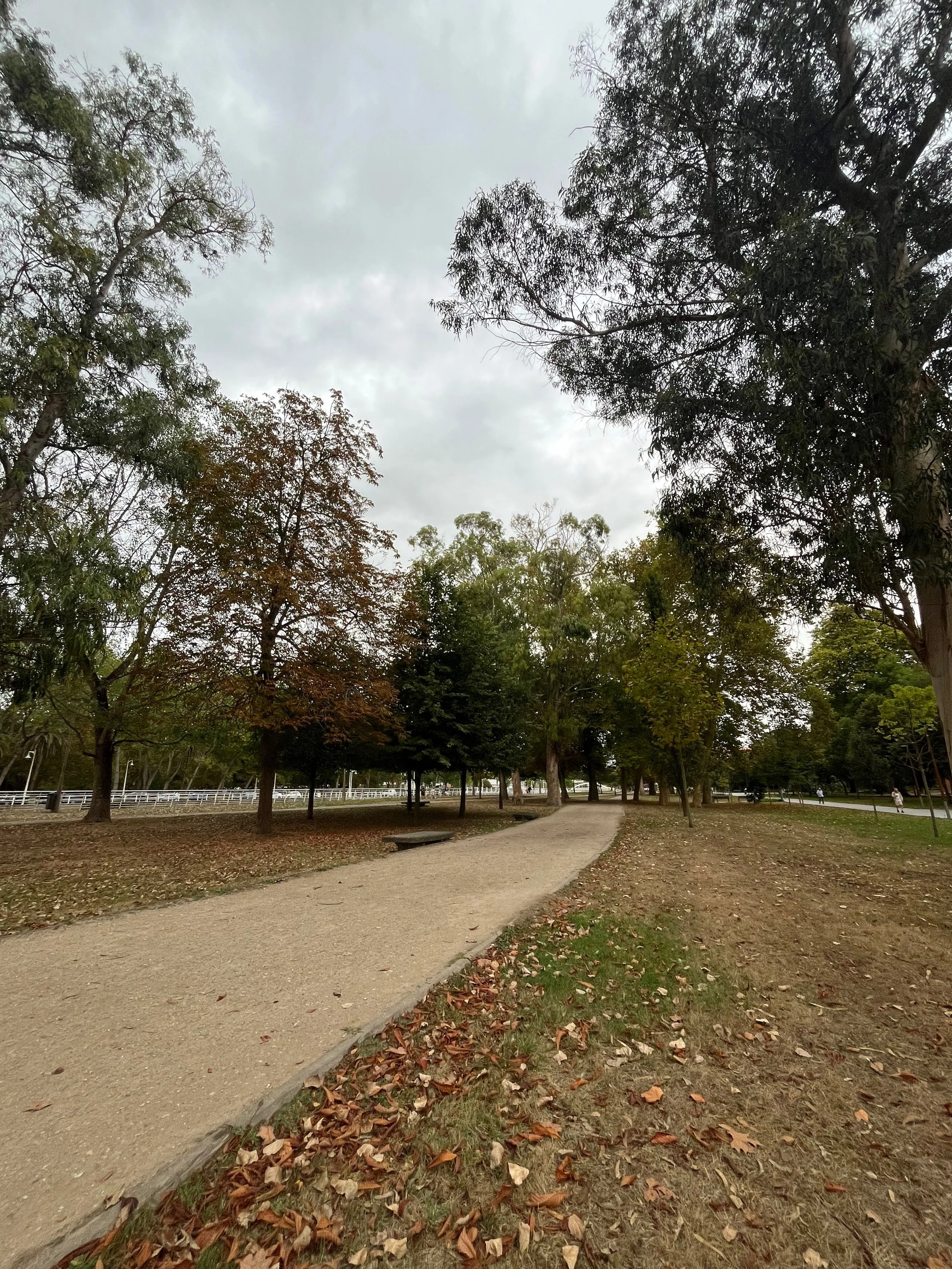 450DBBB9-906D-47BA-BD22-93EEADDFED63 2.JPEG