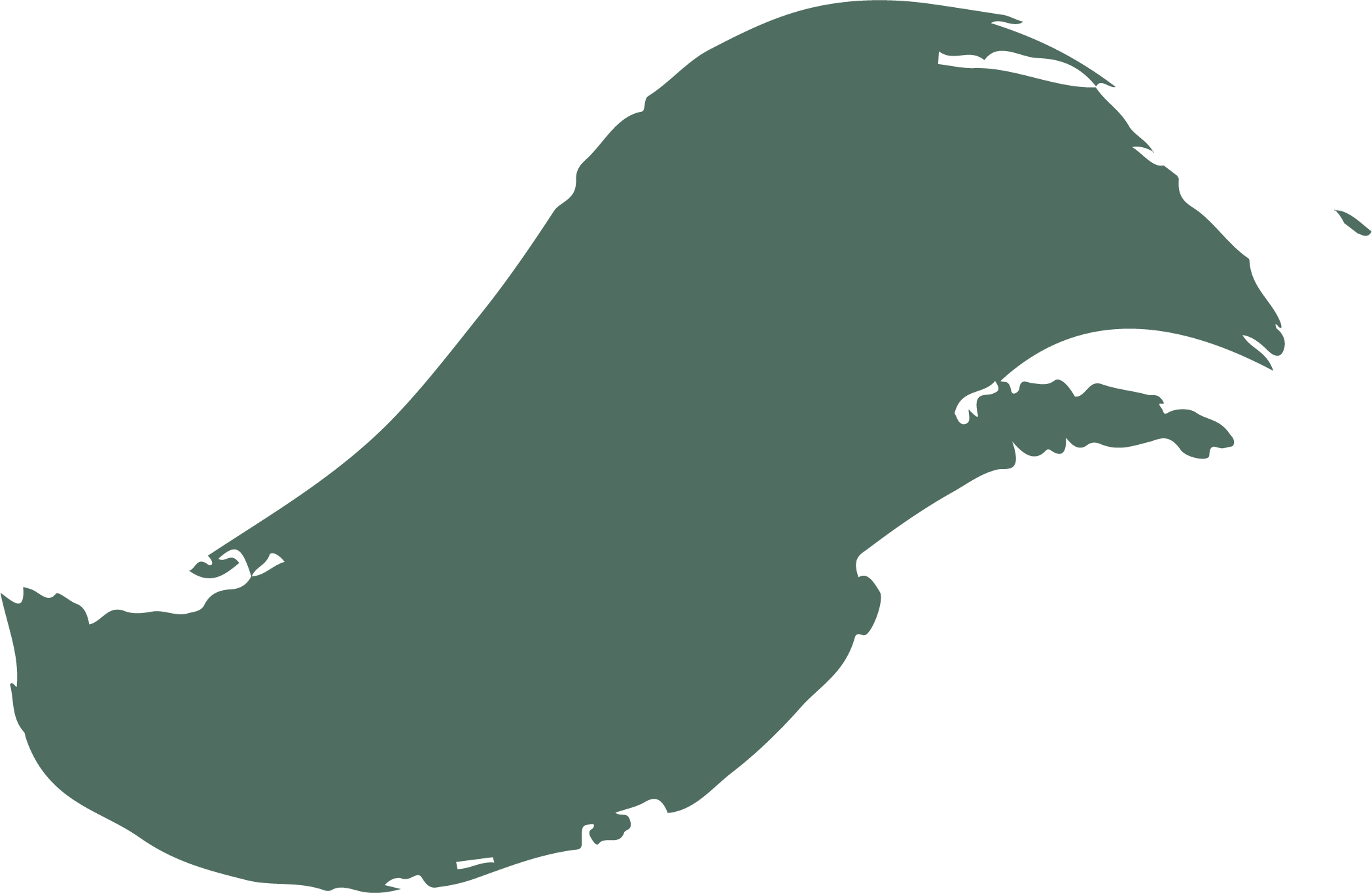 Silhouette of a beetle with a rounded body.