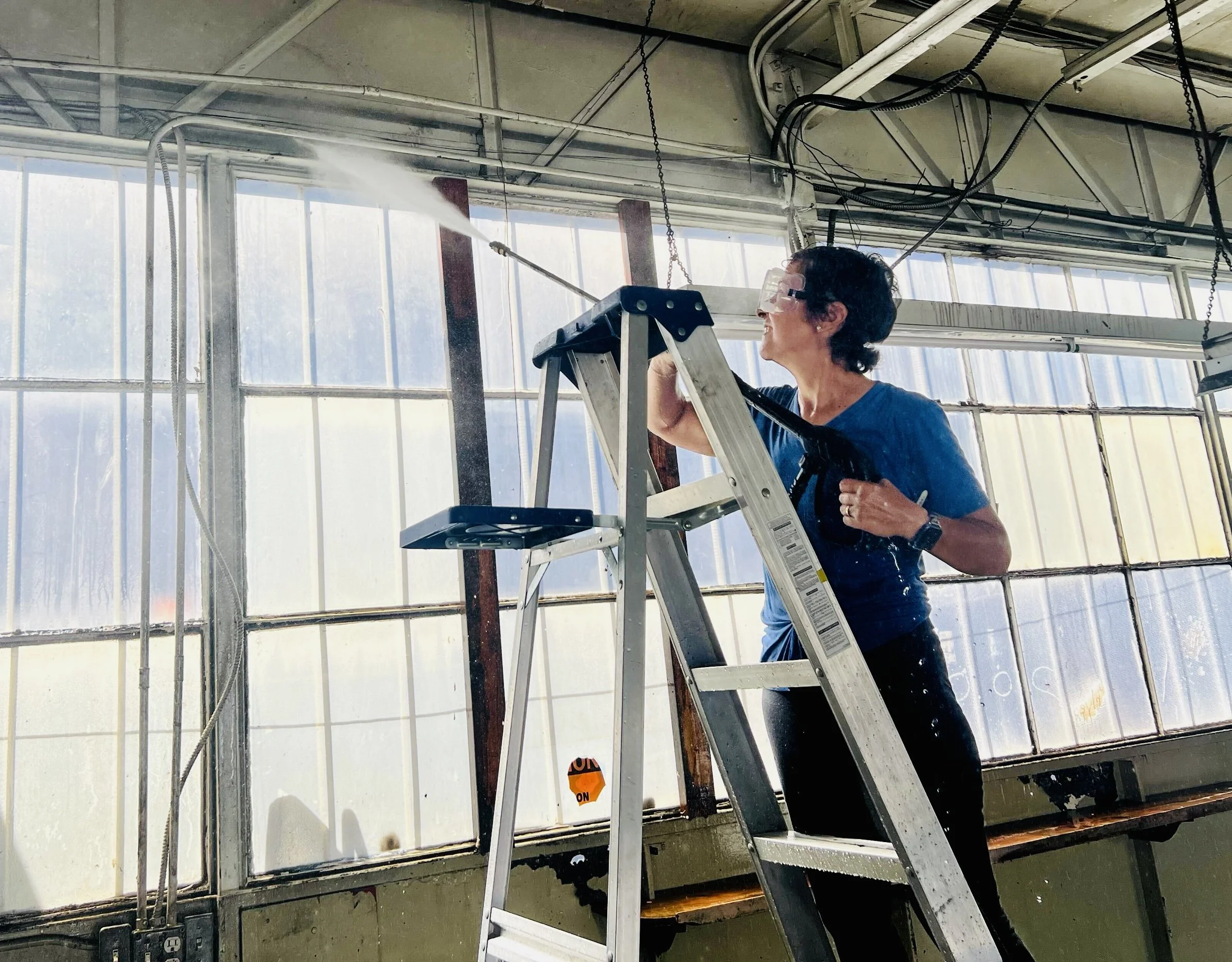 Woman on a ladder cleaning or spraying window in an industrial or greenhouse environment.