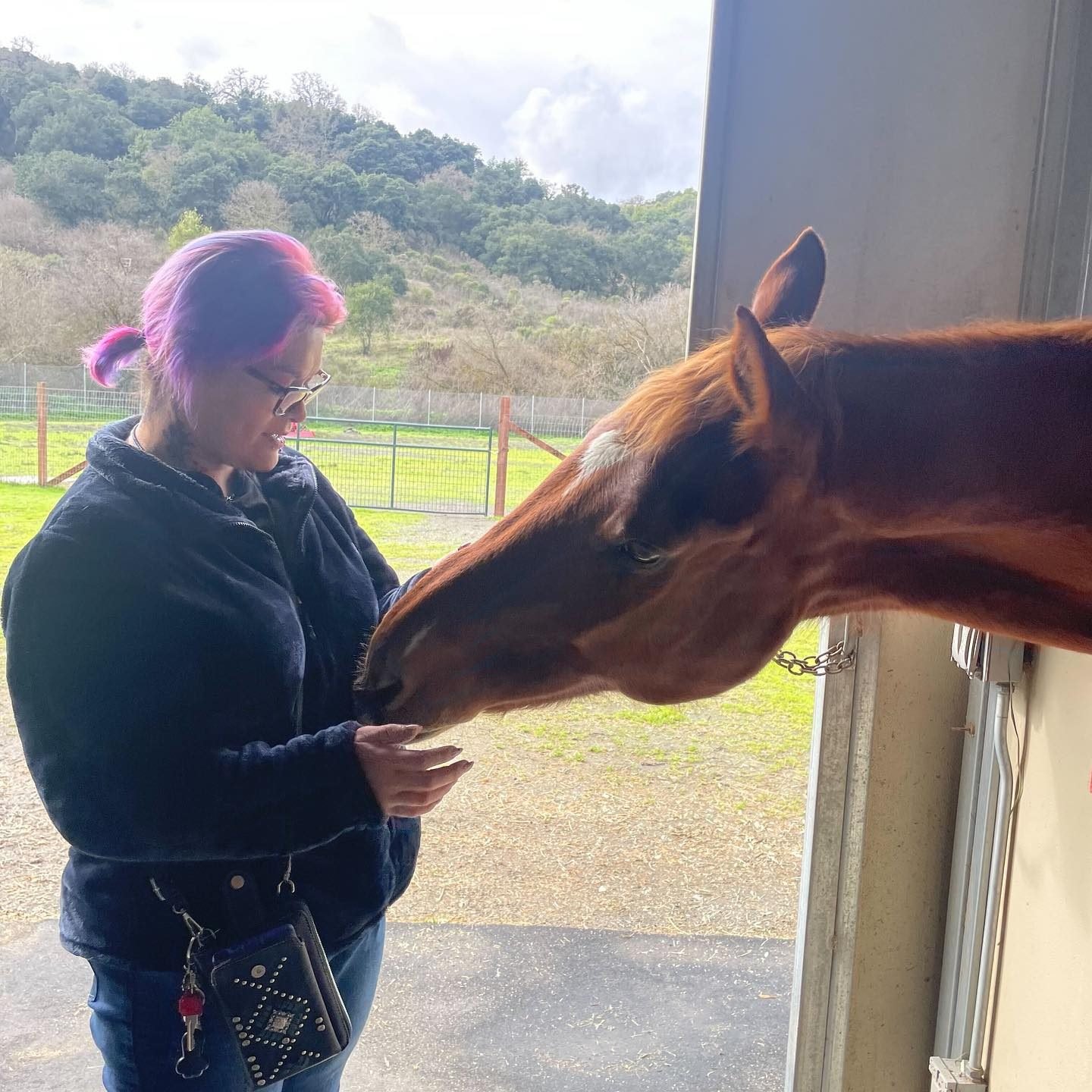 A woman with pink and purple hair and glasses feeds a brown horse through a stable door, with an outdoor fenced field and green hills in the background.