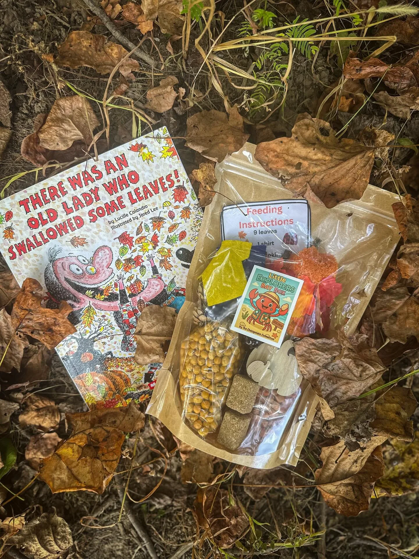 🍂✨ Fall is here&mdash;and so is our &ldquo;There Was an Old Lady Who Swallowed Some Leaves&rdquo; Sensory Bin Kit! ✨🍂

Storytime just got hands-on! Your little one can explore all the items from the book with our follow-along sensory kit&mdash;perf