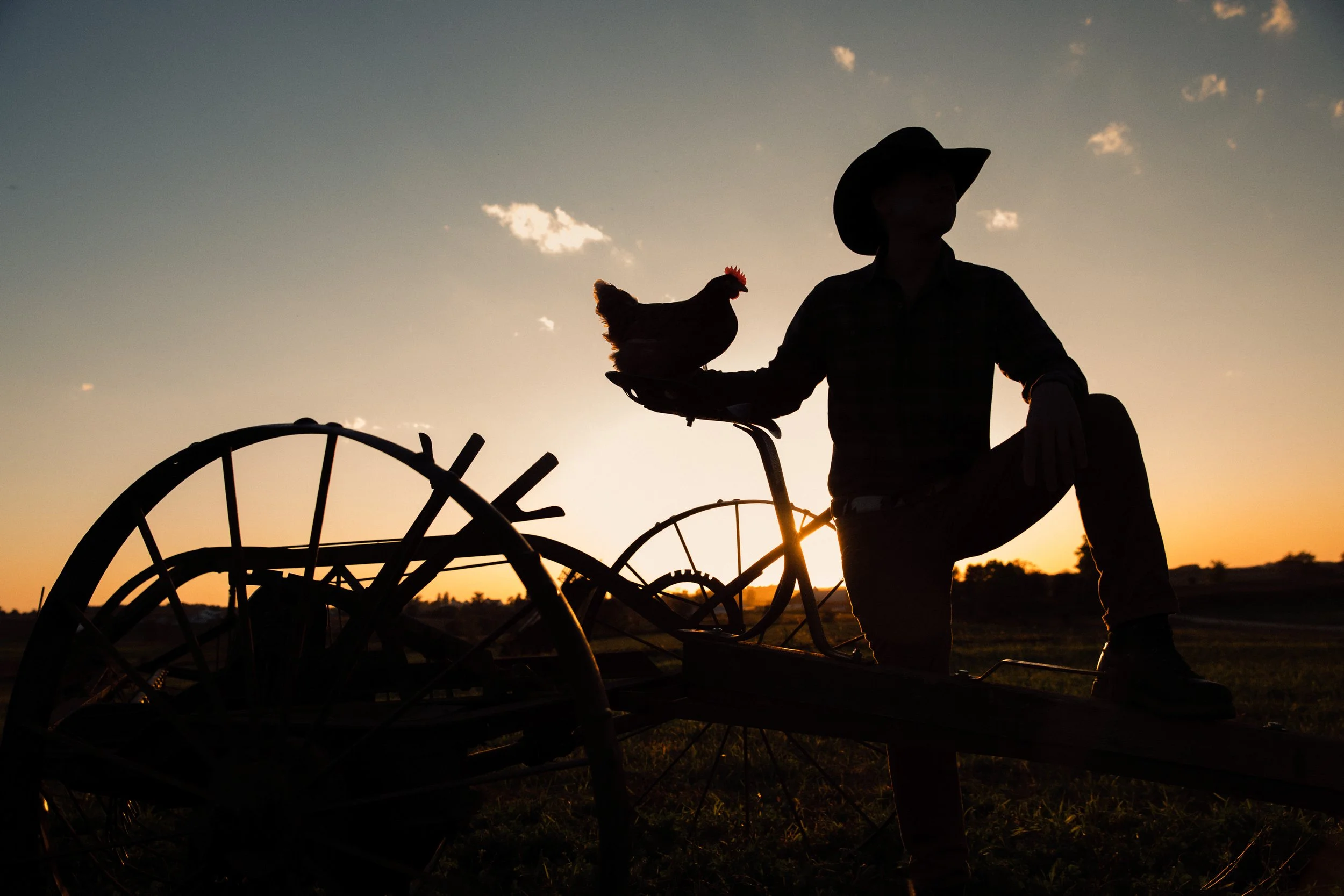 @thedjpierce_Farmer_s Hen-15.jpg