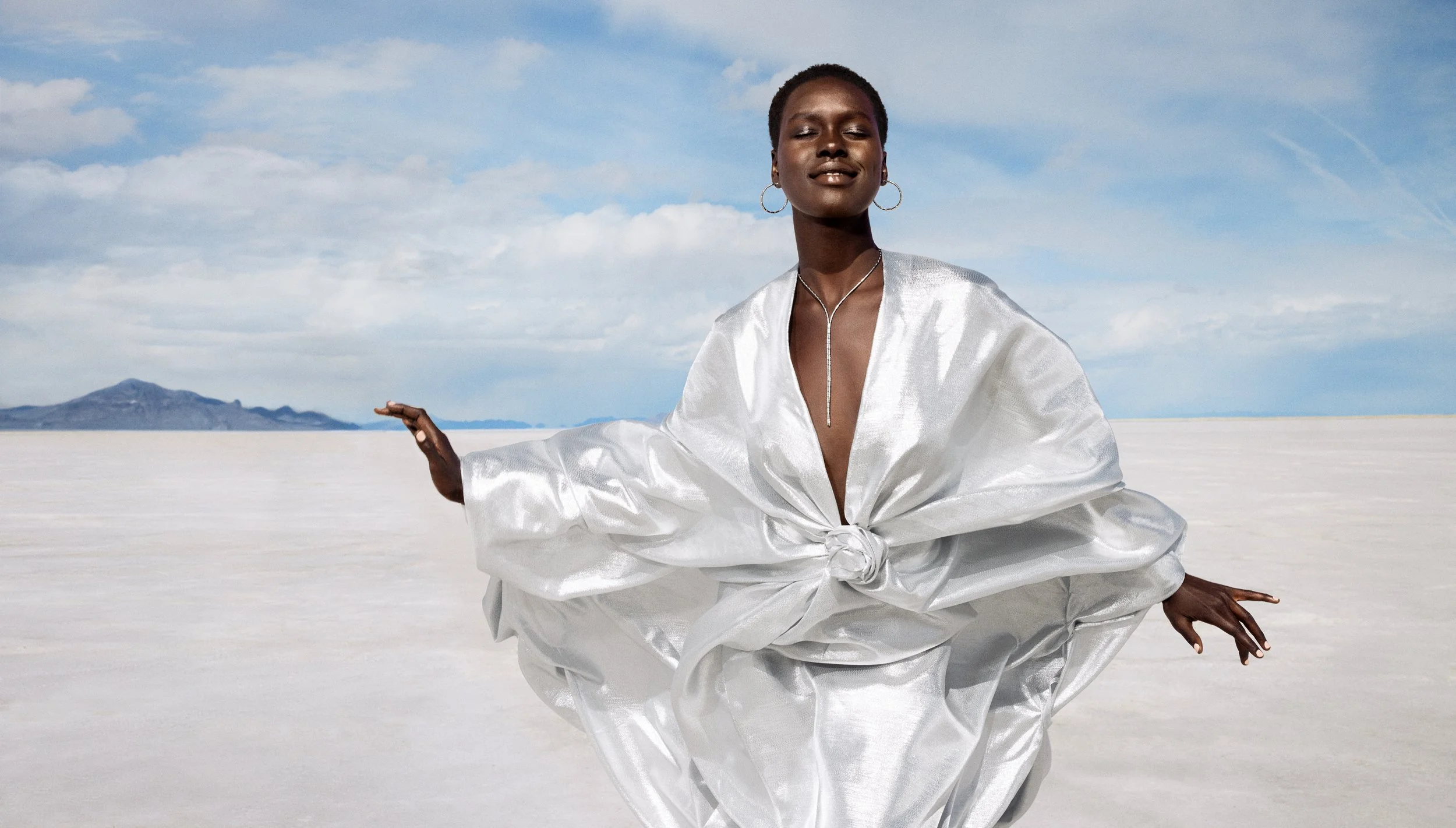 @thedjpierce_Platinum Born-01.jpg