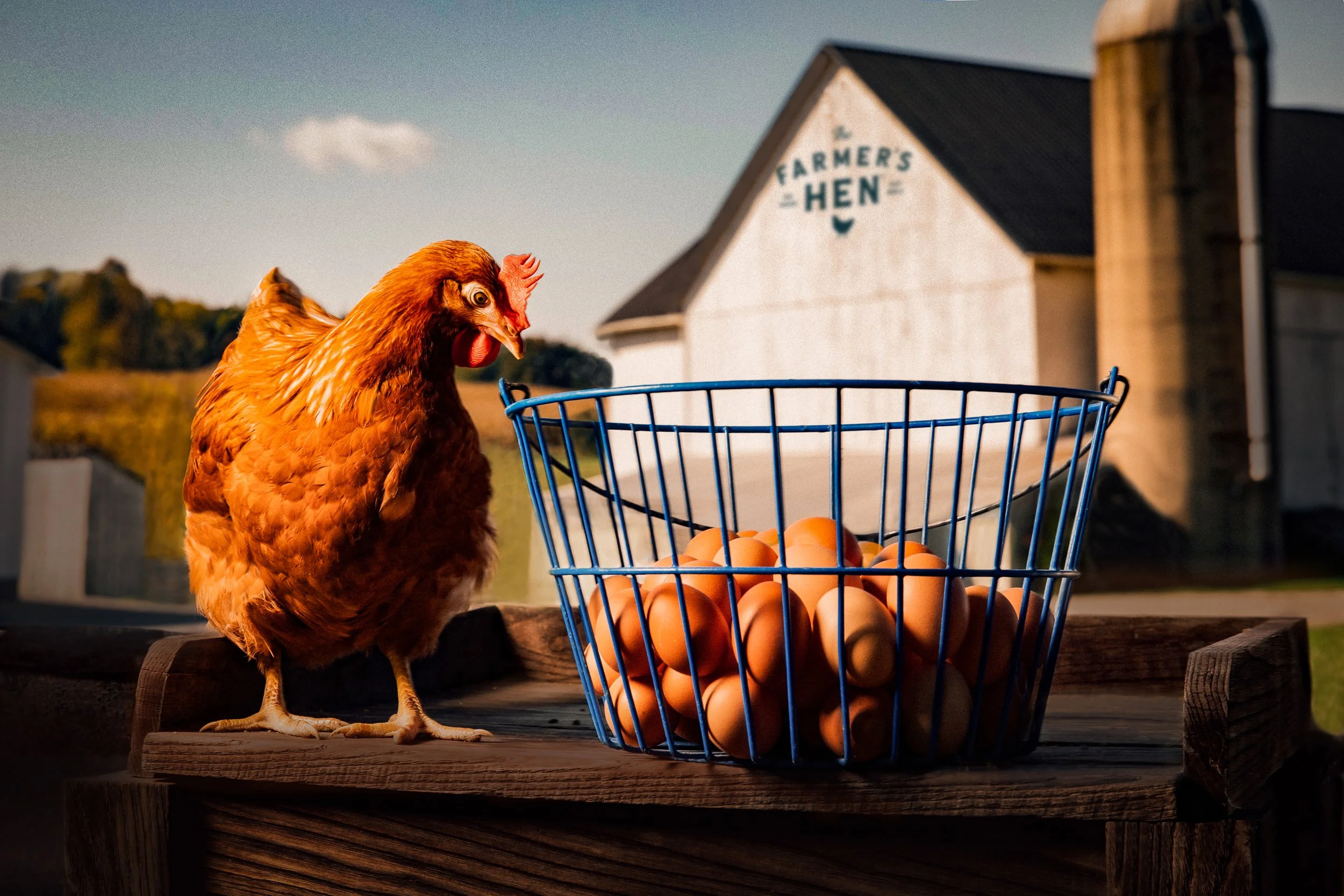 @thedjpierce_Farmer_s Hen-12.jpg