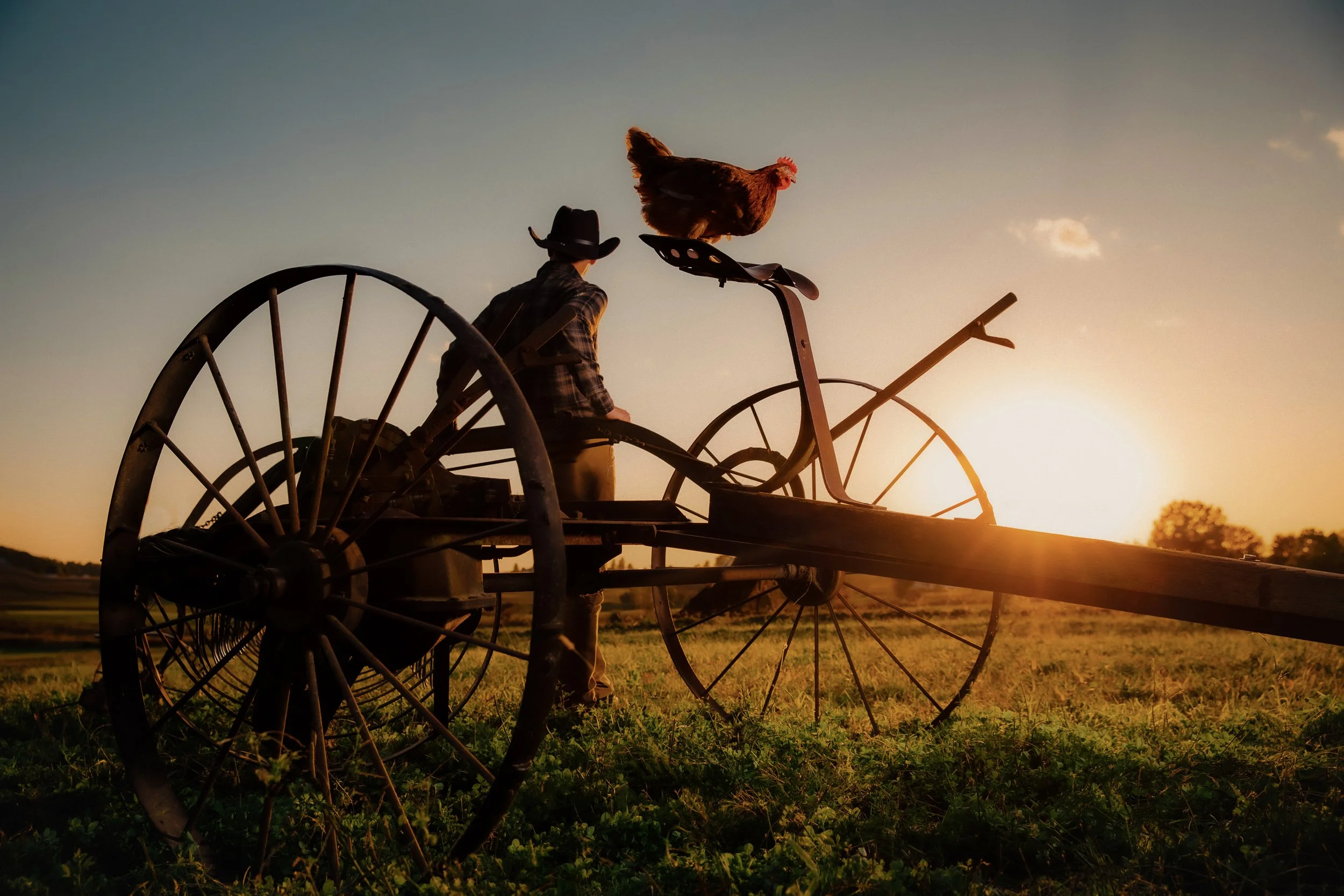 @thedjpierce_Farmer_s Hen-02.jpg