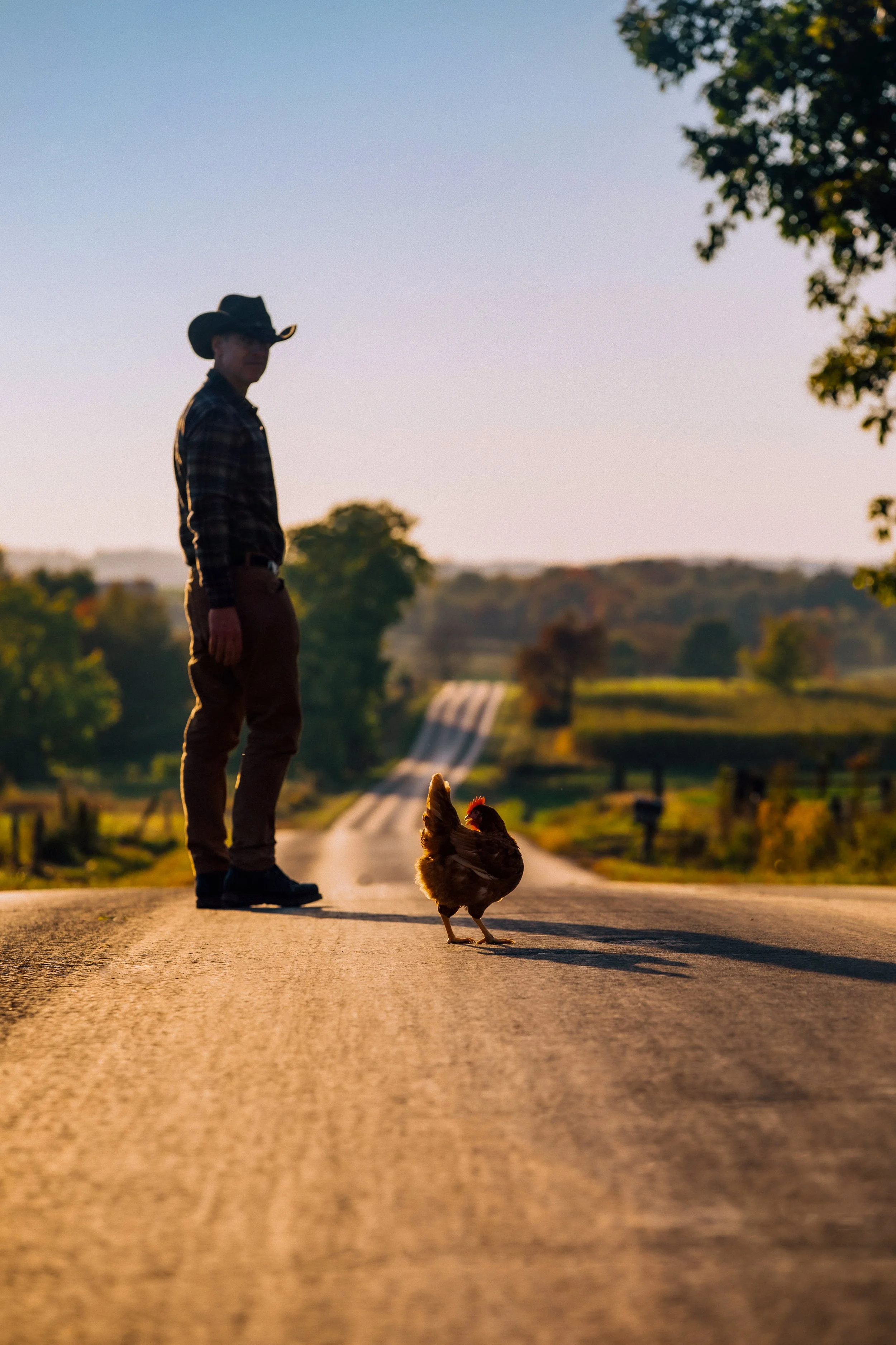 @thedjpierce_Farmer_s Hen-13.jpg