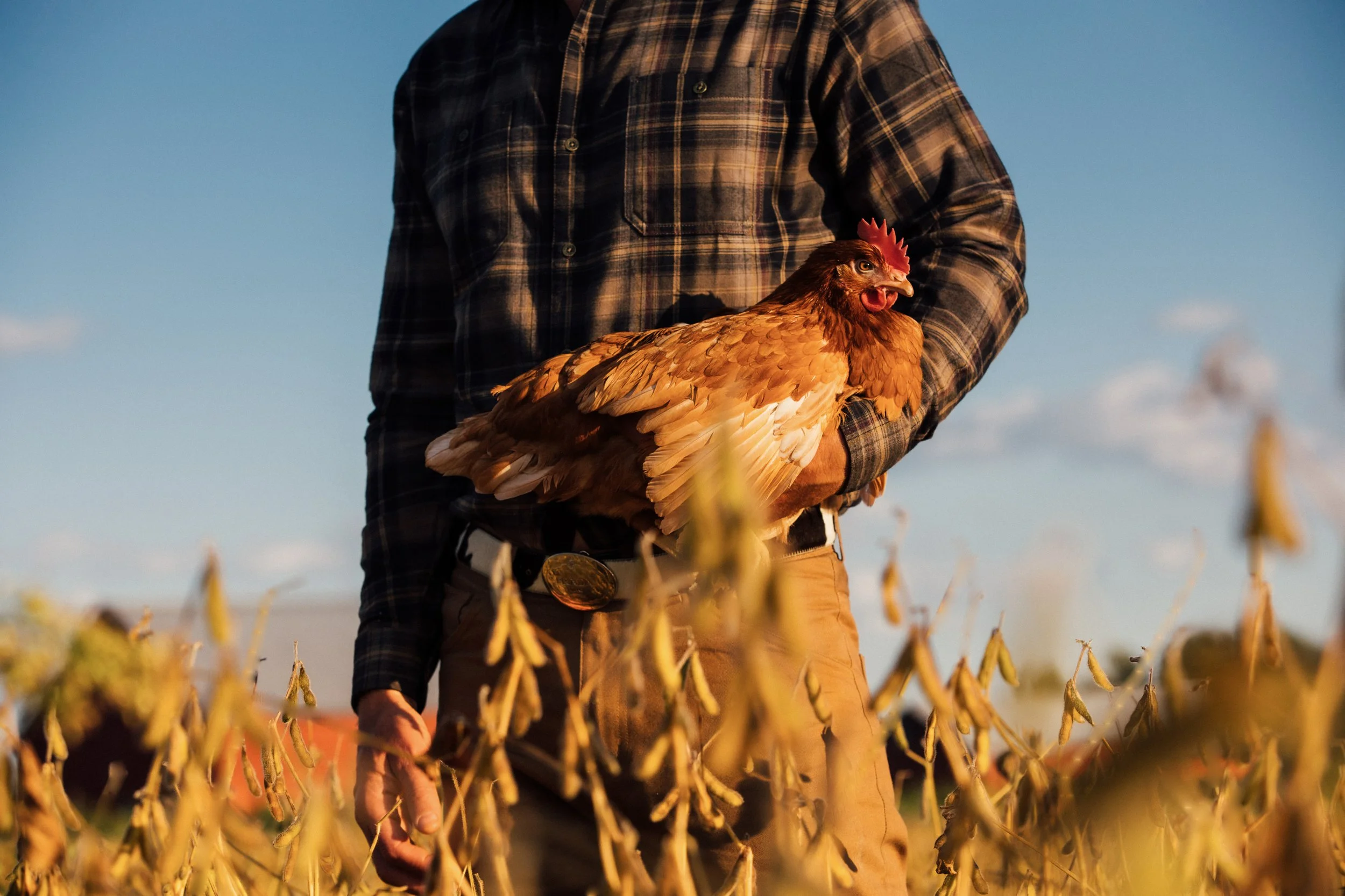 @thedjpierce_Farmer_s Hen-06.jpg