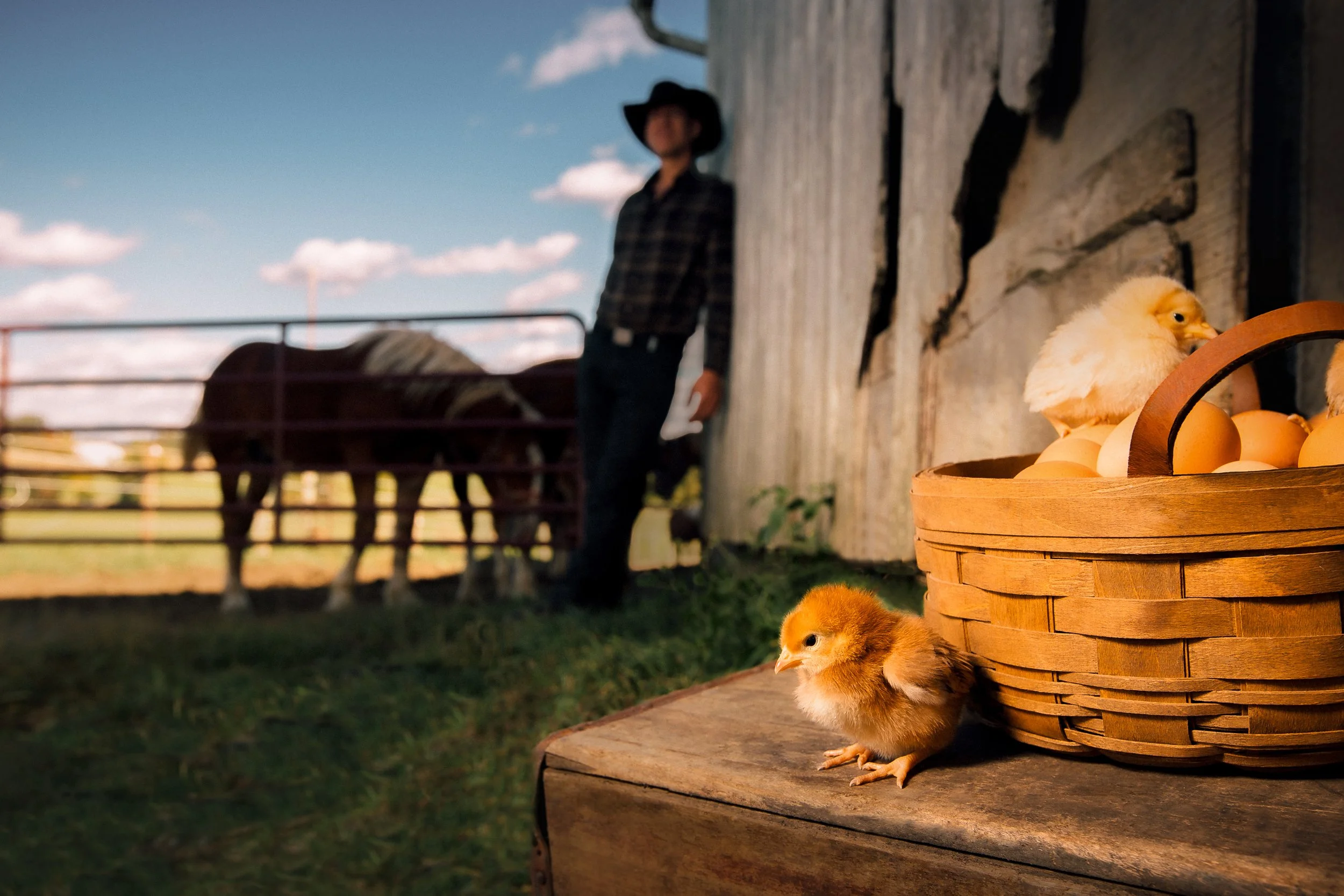 @thedjpierce_Farmer_s Hen-10.jpg