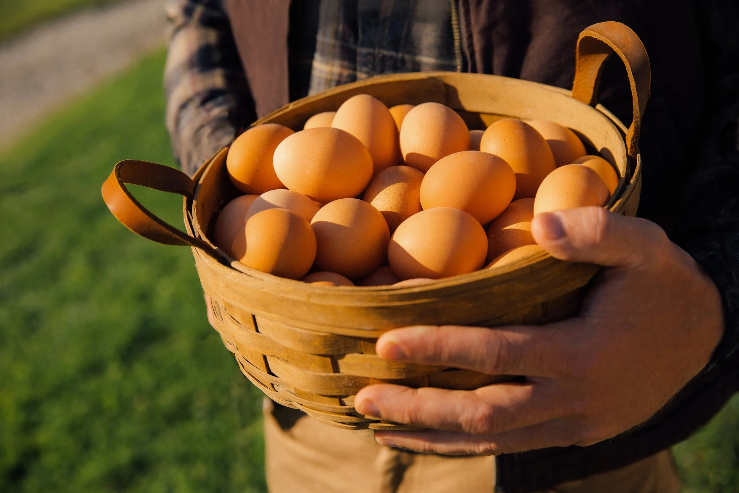 @thedjpierce_Farmer_s Hen-08.jpg