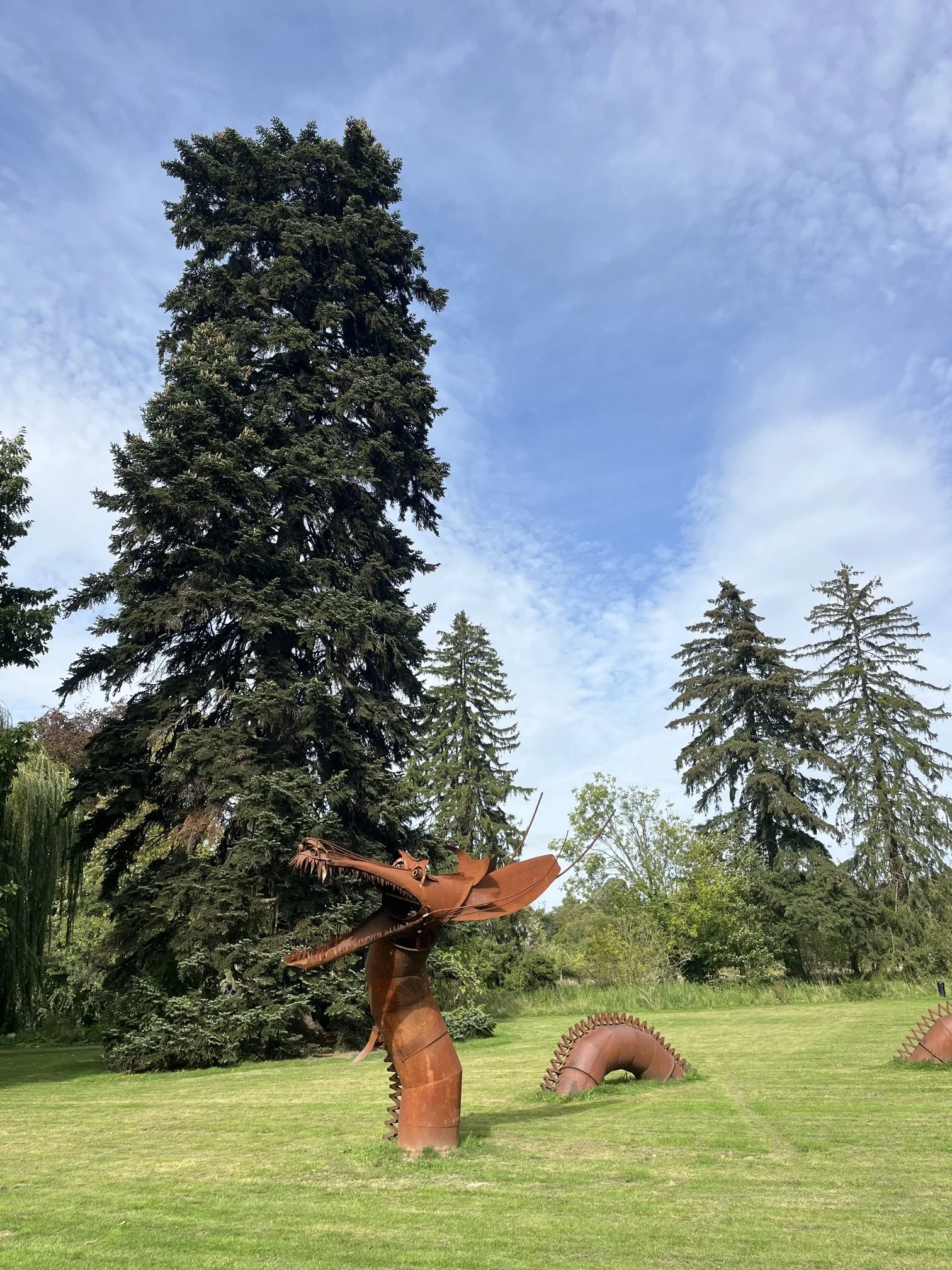 IMG_6752.jpeg