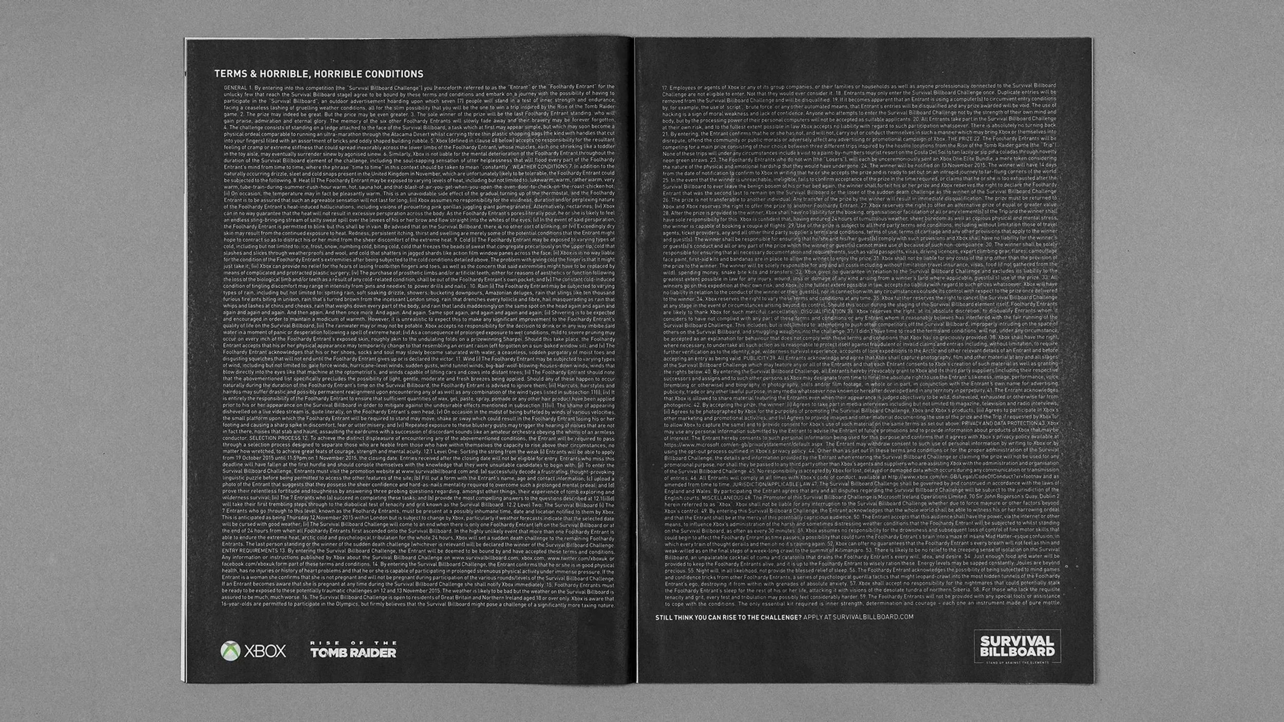 tomb-raider-survival-billboard-conditions.jpeg