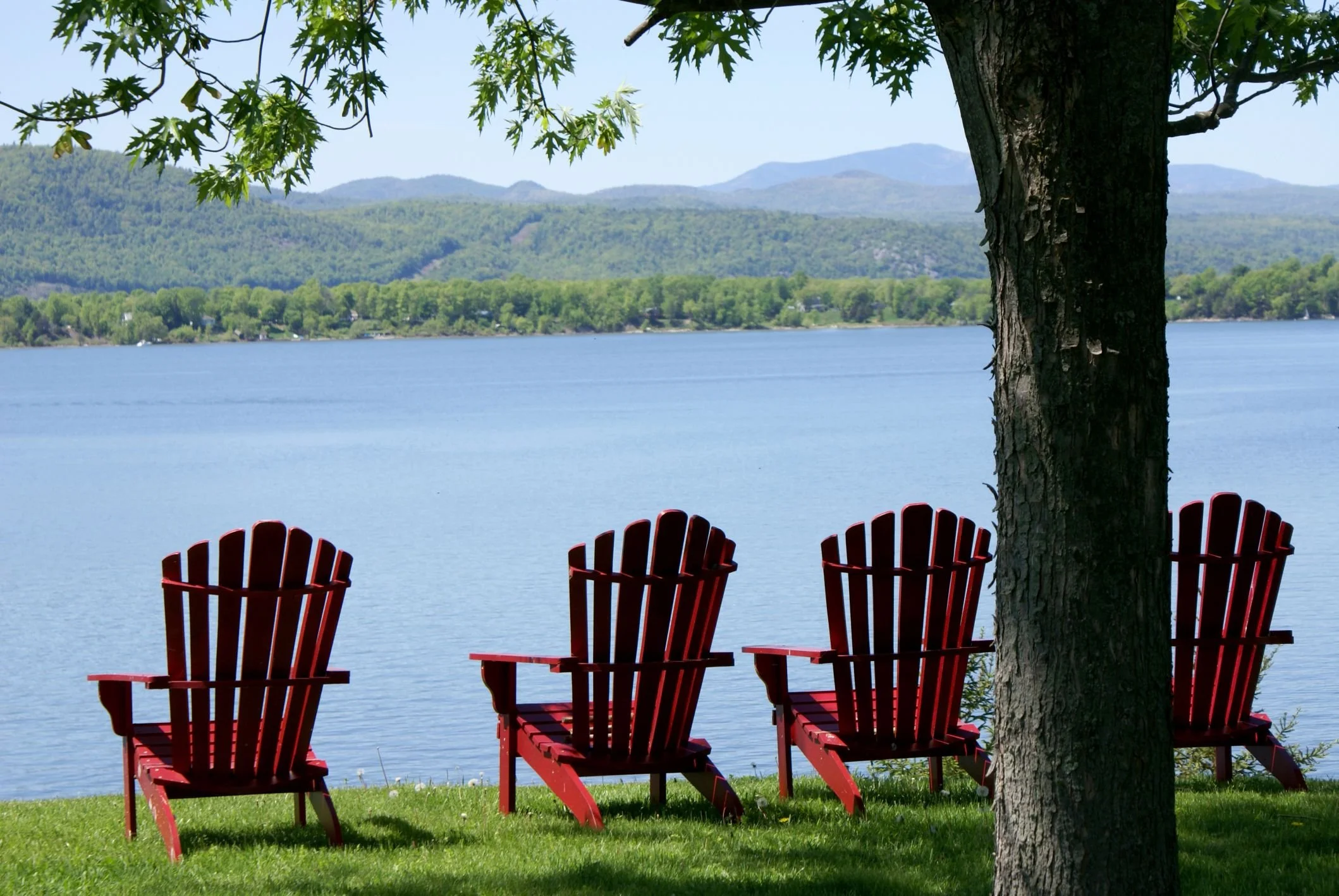Summer Sounds: Protect Your Hearing While Enjoying the Season
