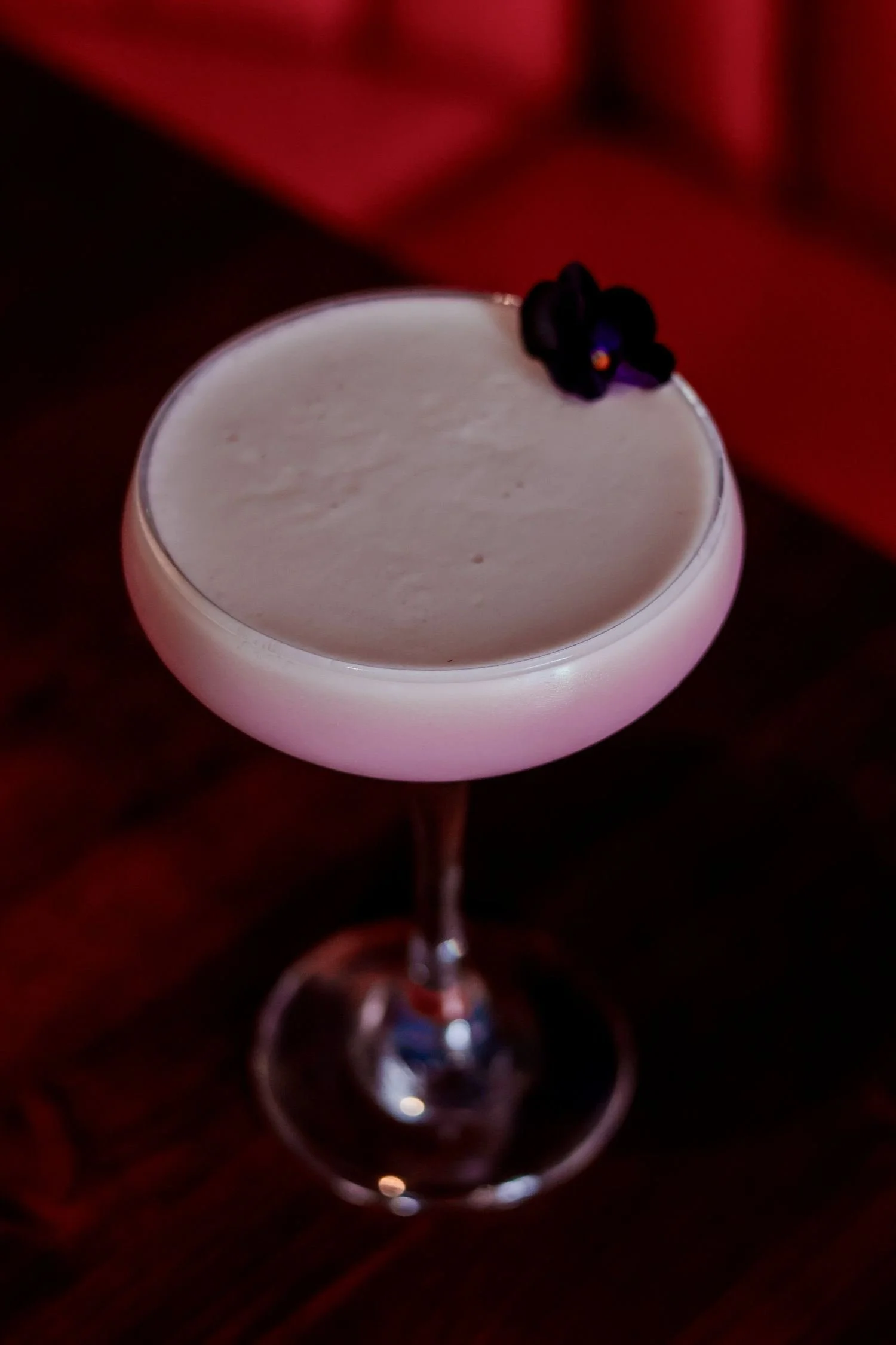 Frothy white coupe cocktail with a dried flower garnish