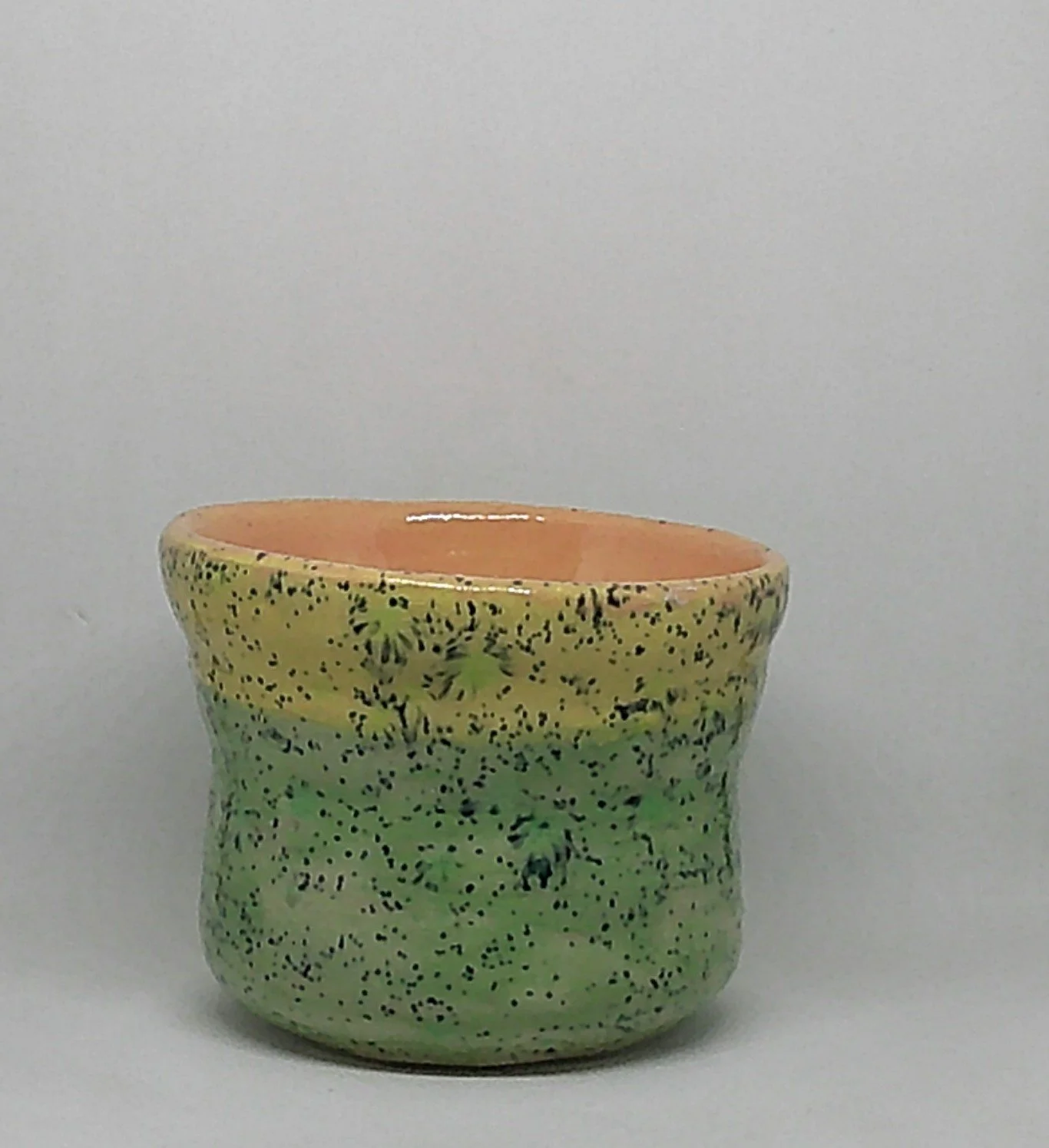 DSCF0227 - Copy (2).JPG