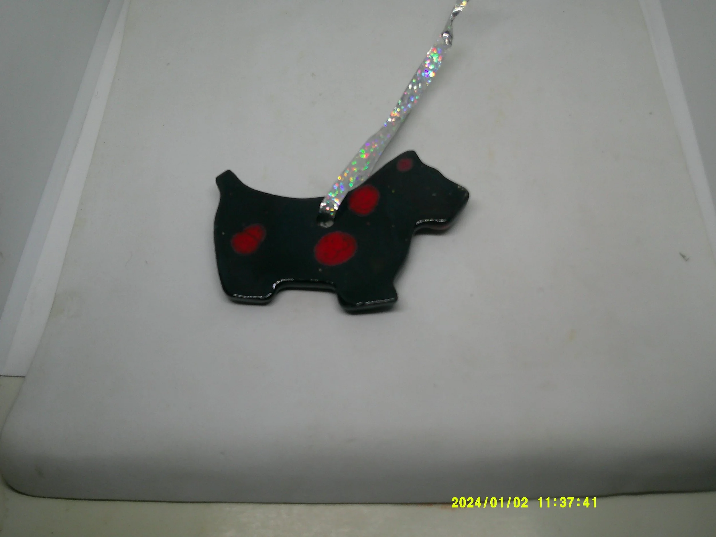 DSCF0089 - Copy (2).JPG